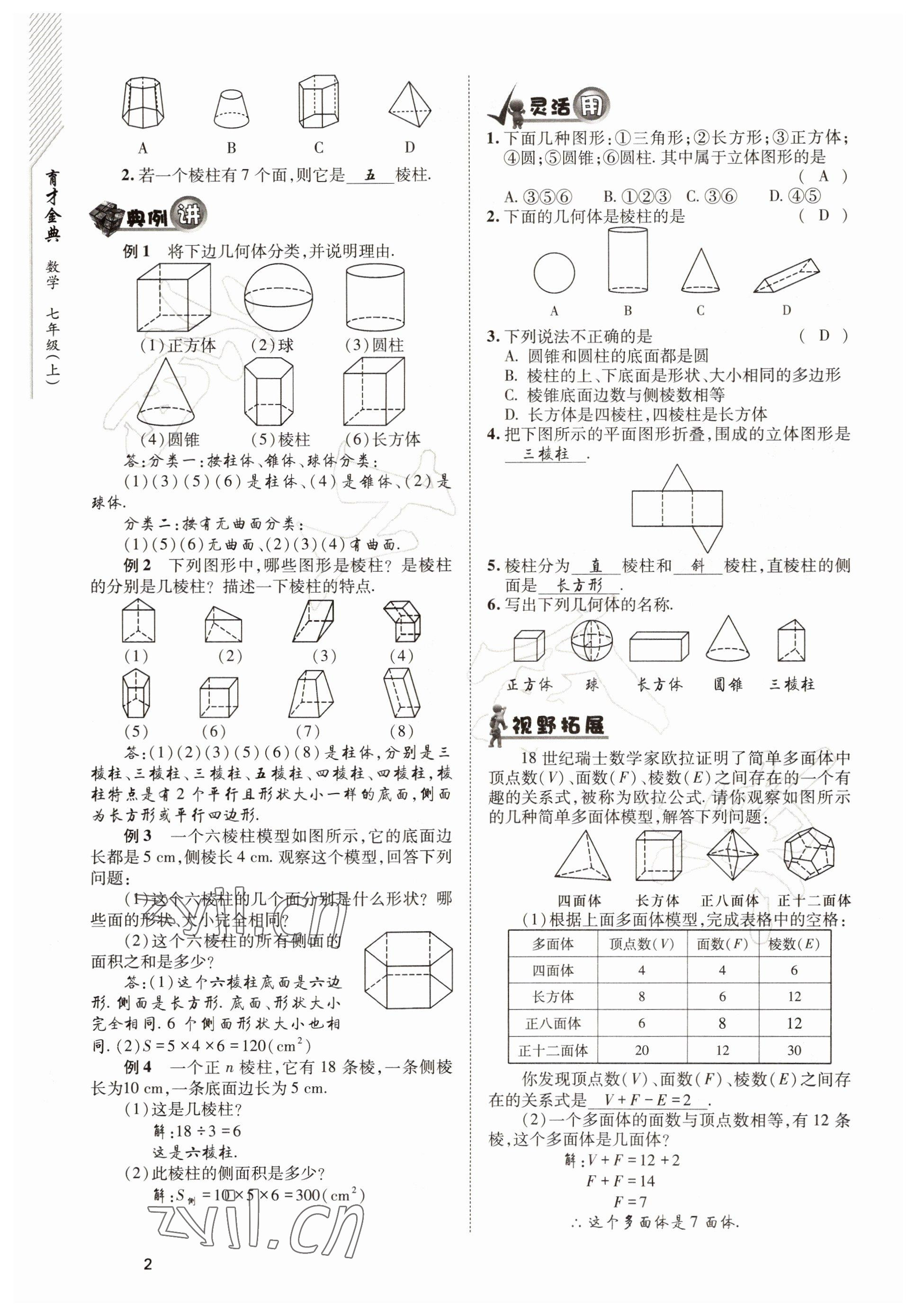 2022年育才金典七年級數(shù)學上冊北師大版 參考答案第2頁