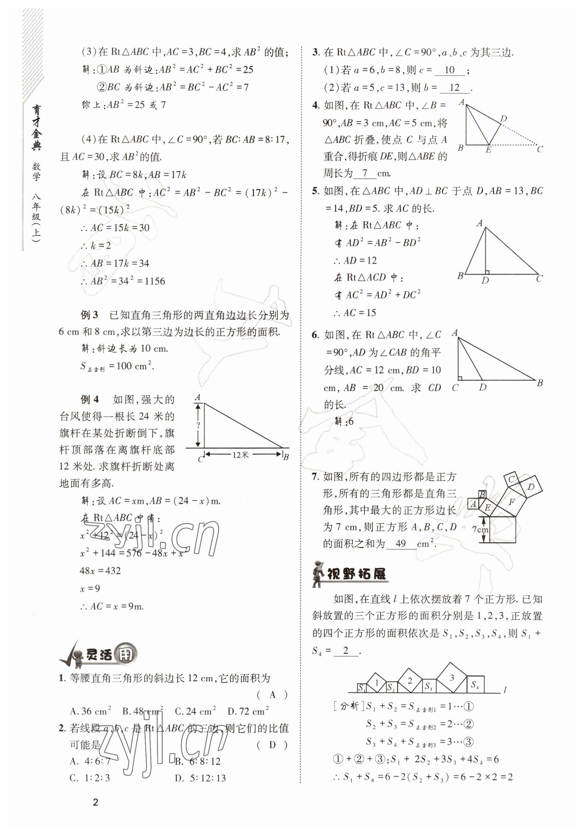 2022年育才金典八年级数学上册北师大版 参考答案第2页