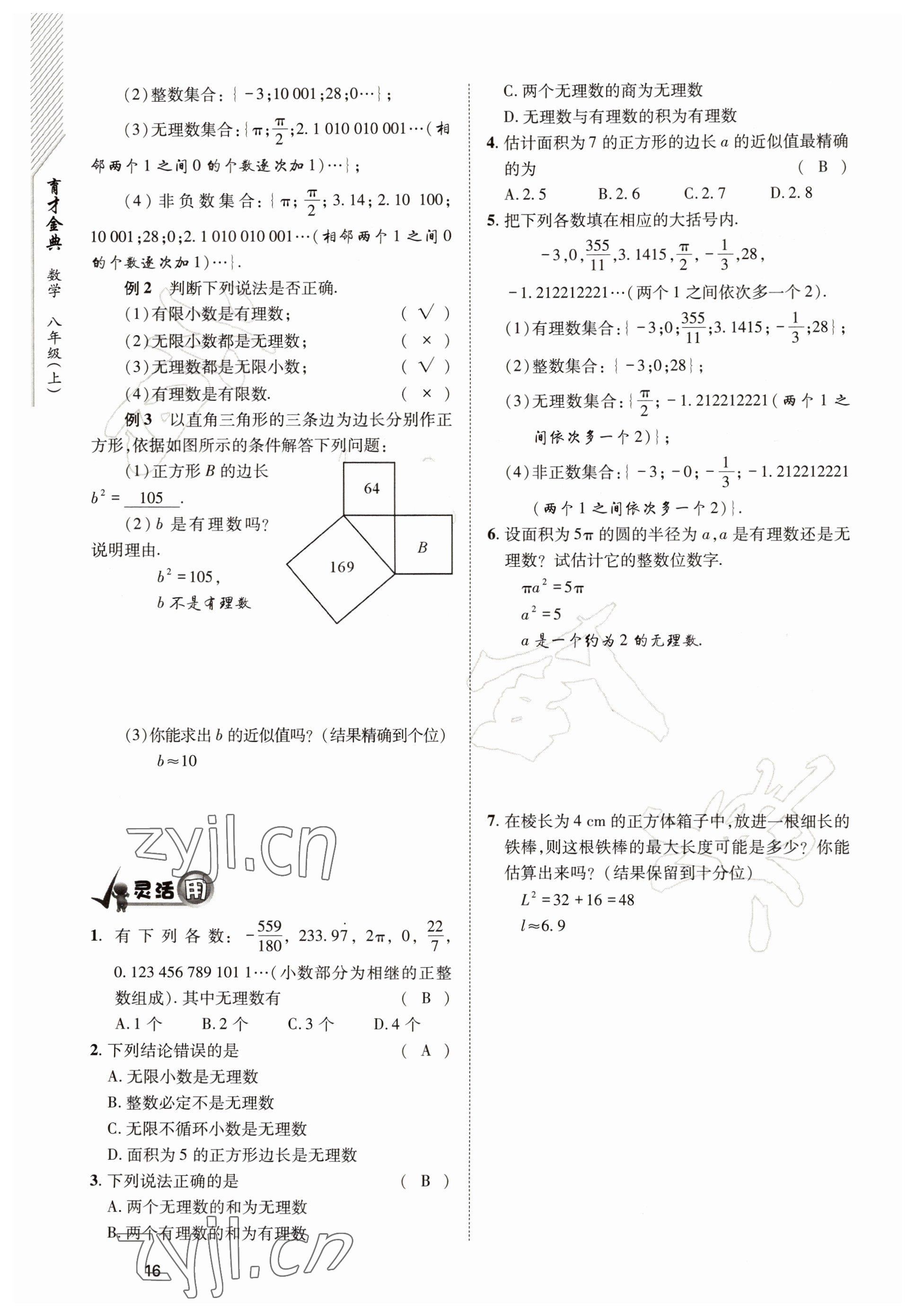 2022年育才金典八年级数学上册北师大版 参考答案第16页