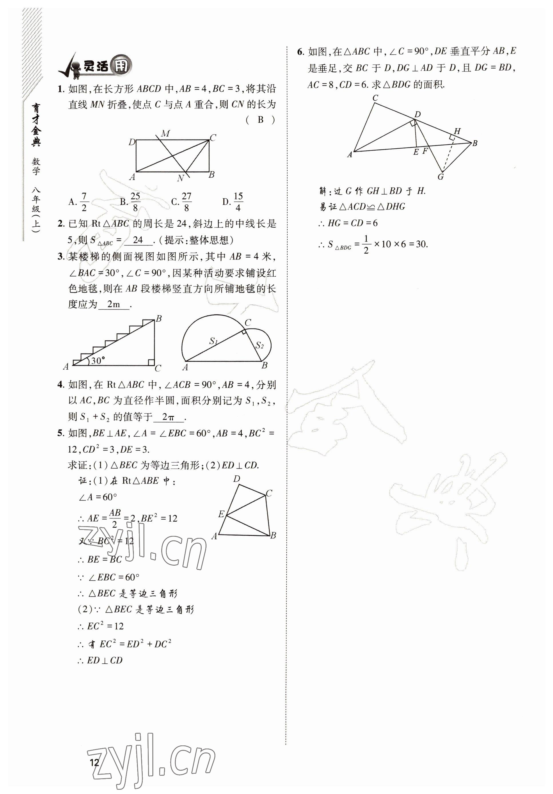 2022年育才金典八年级数学上册北师大版 参考答案第12页