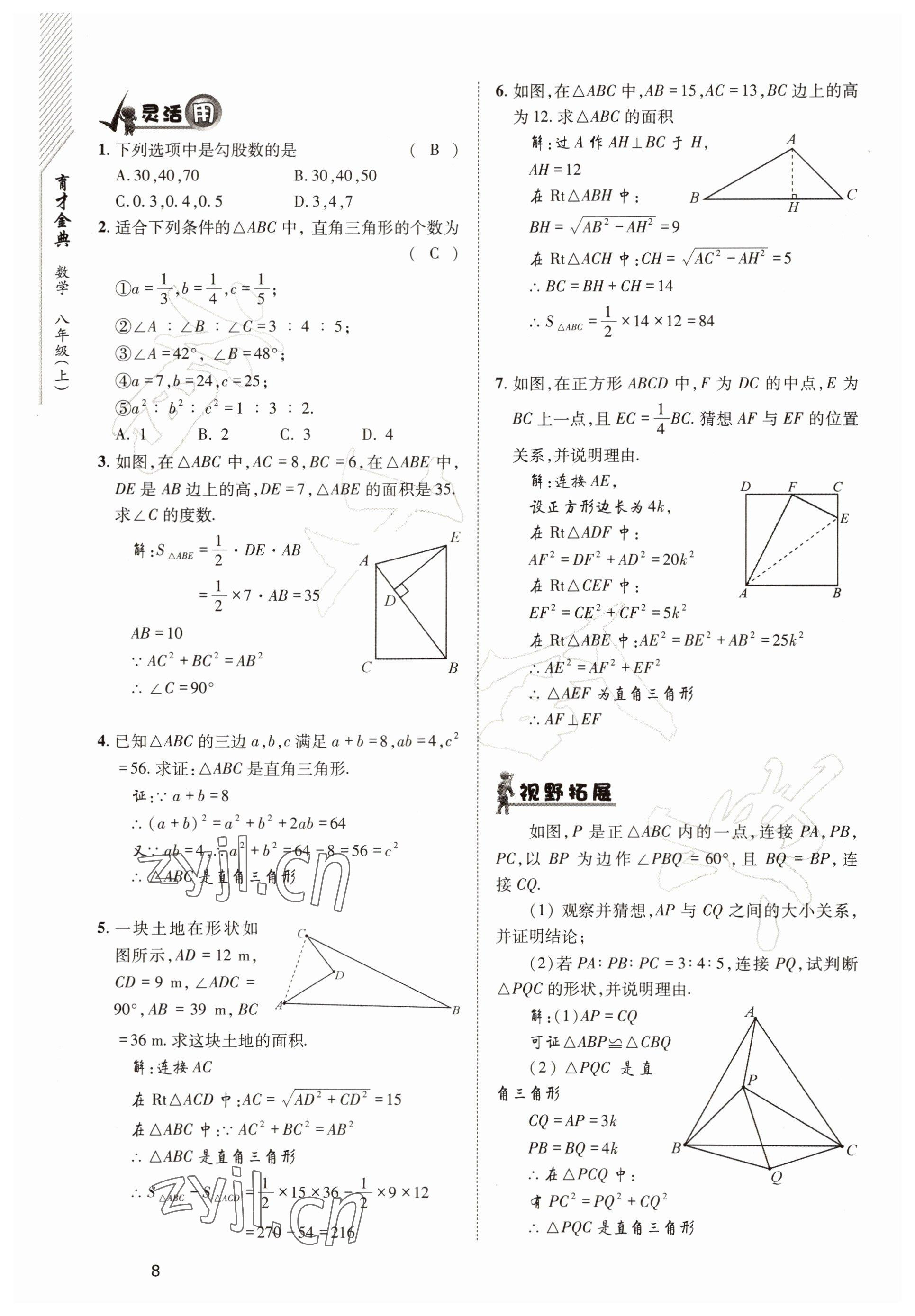 2022年育才金典八年級數(shù)學上冊北師大版 參考答案第8頁