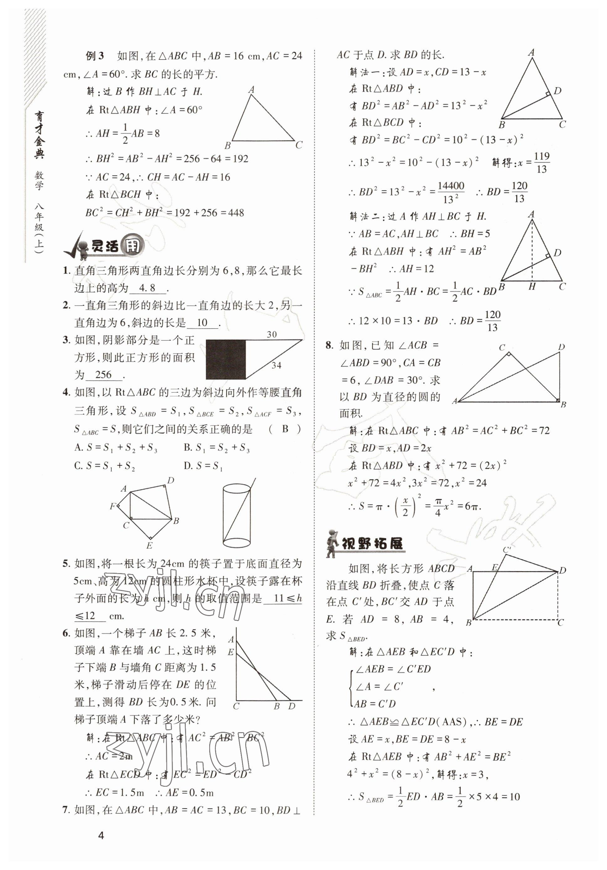 2022年育才金典八年级数学上册北师大版 参考答案第4页