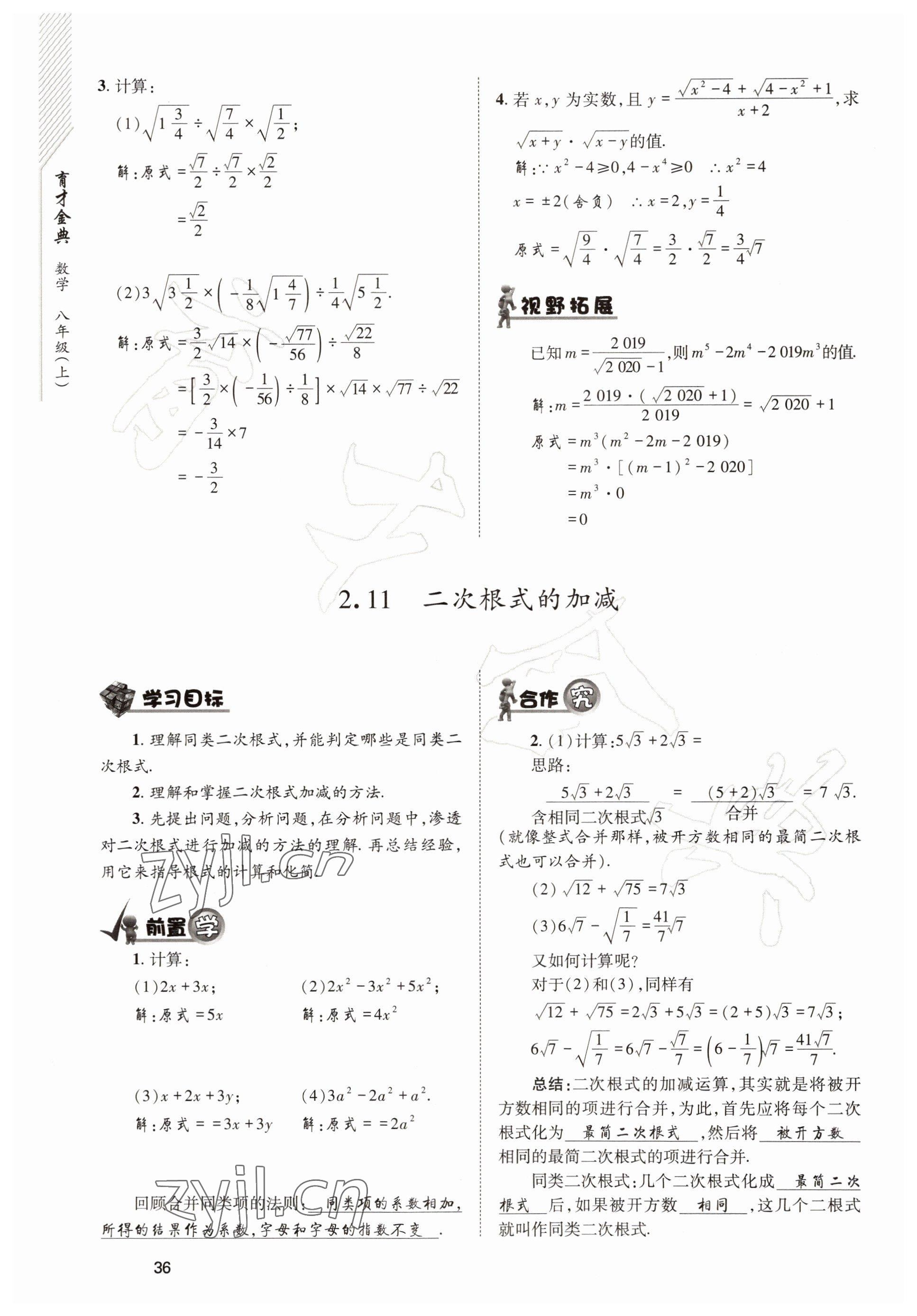 2022年育才金典八年級(jí)數(shù)學(xué)上冊(cè)北師大版 參考答案第36頁(yè)