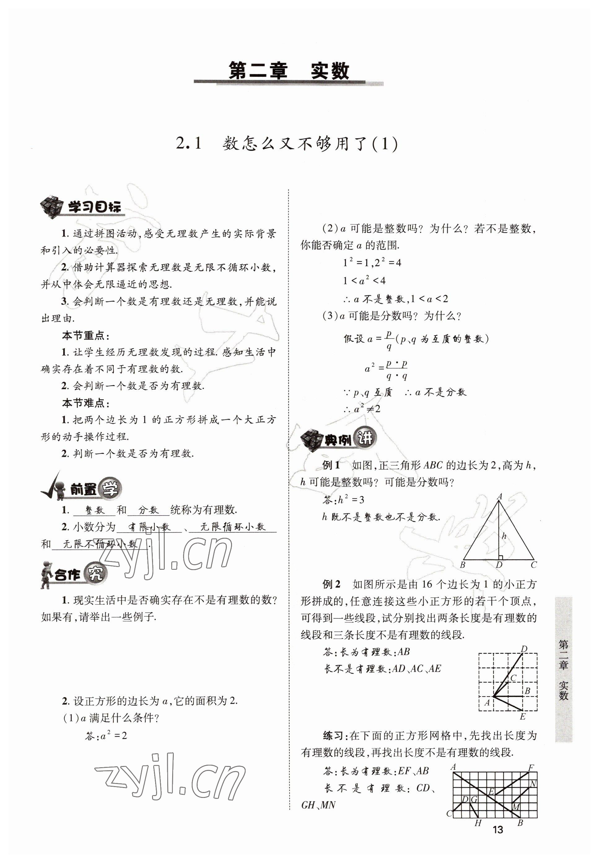 2022年育才金典八年级数学上册北师大版 参考答案第13页