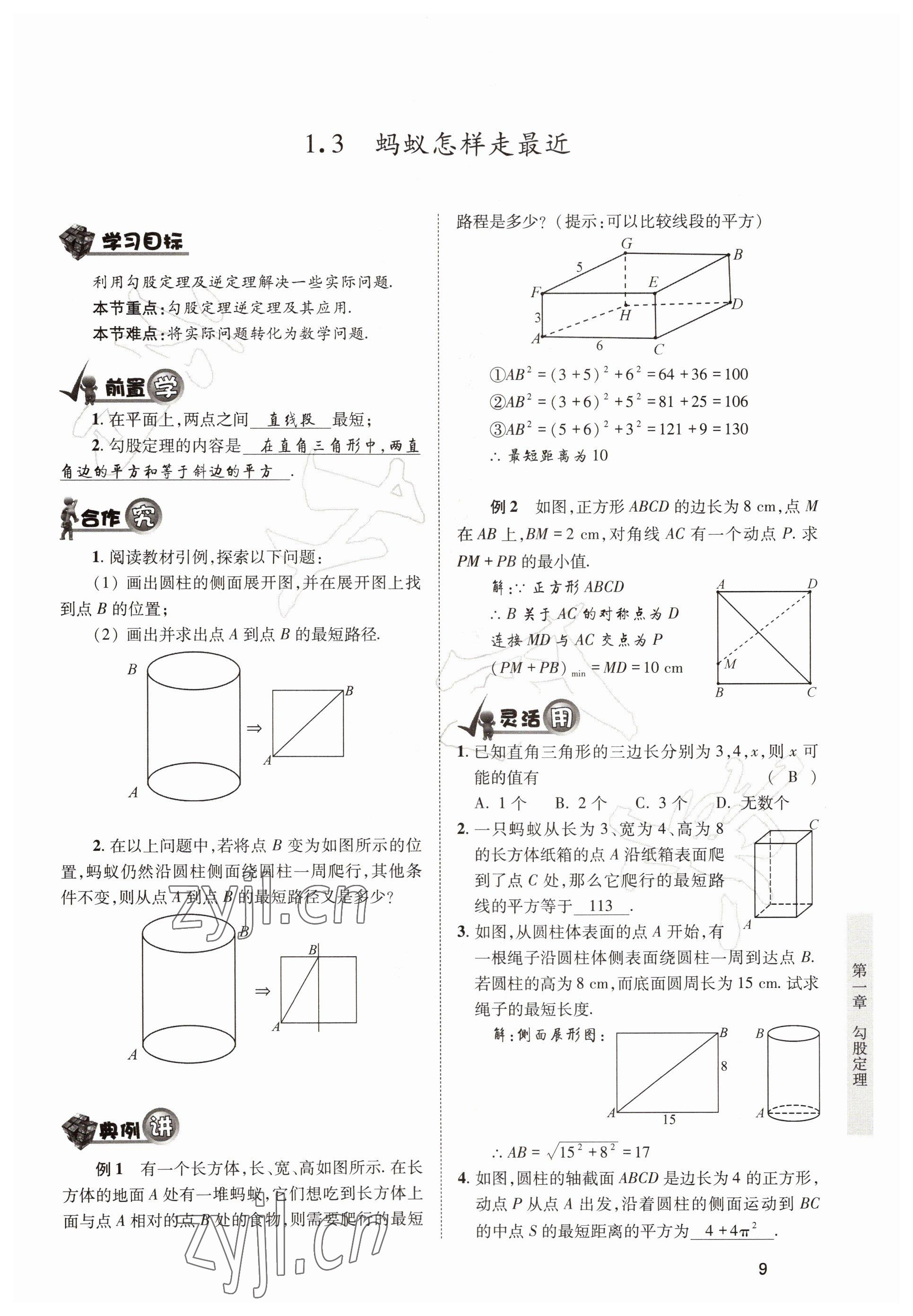 2022年育才金典八年级数学上册北师大版 参考答案第9页