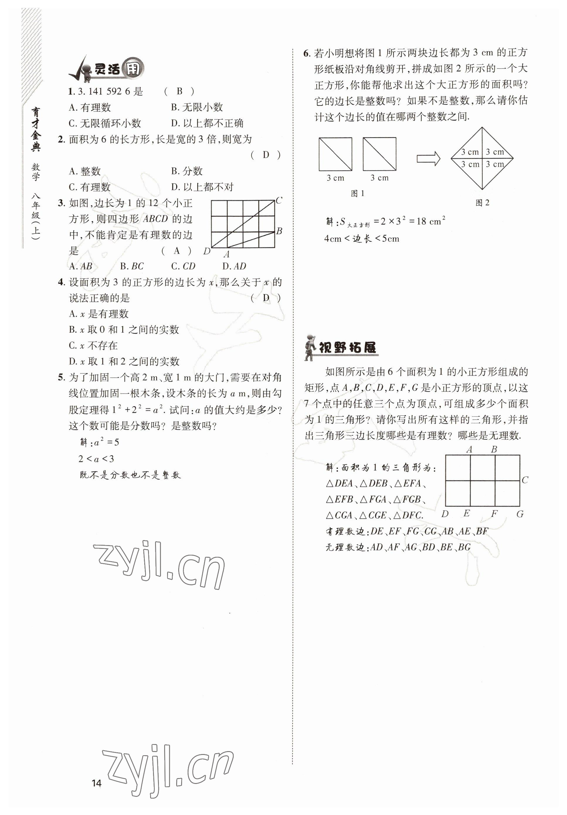 2022年育才金典八年級數(shù)學(xué)上冊北師大版 參考答案第14頁