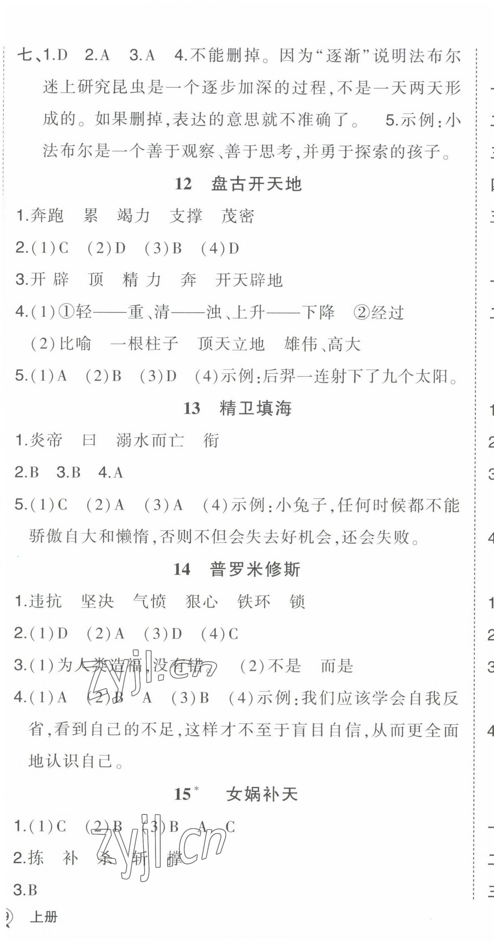 2022年黃岡狀元成才路狀元作業(yè)本四年級語文上冊人教版福建專版 第7頁