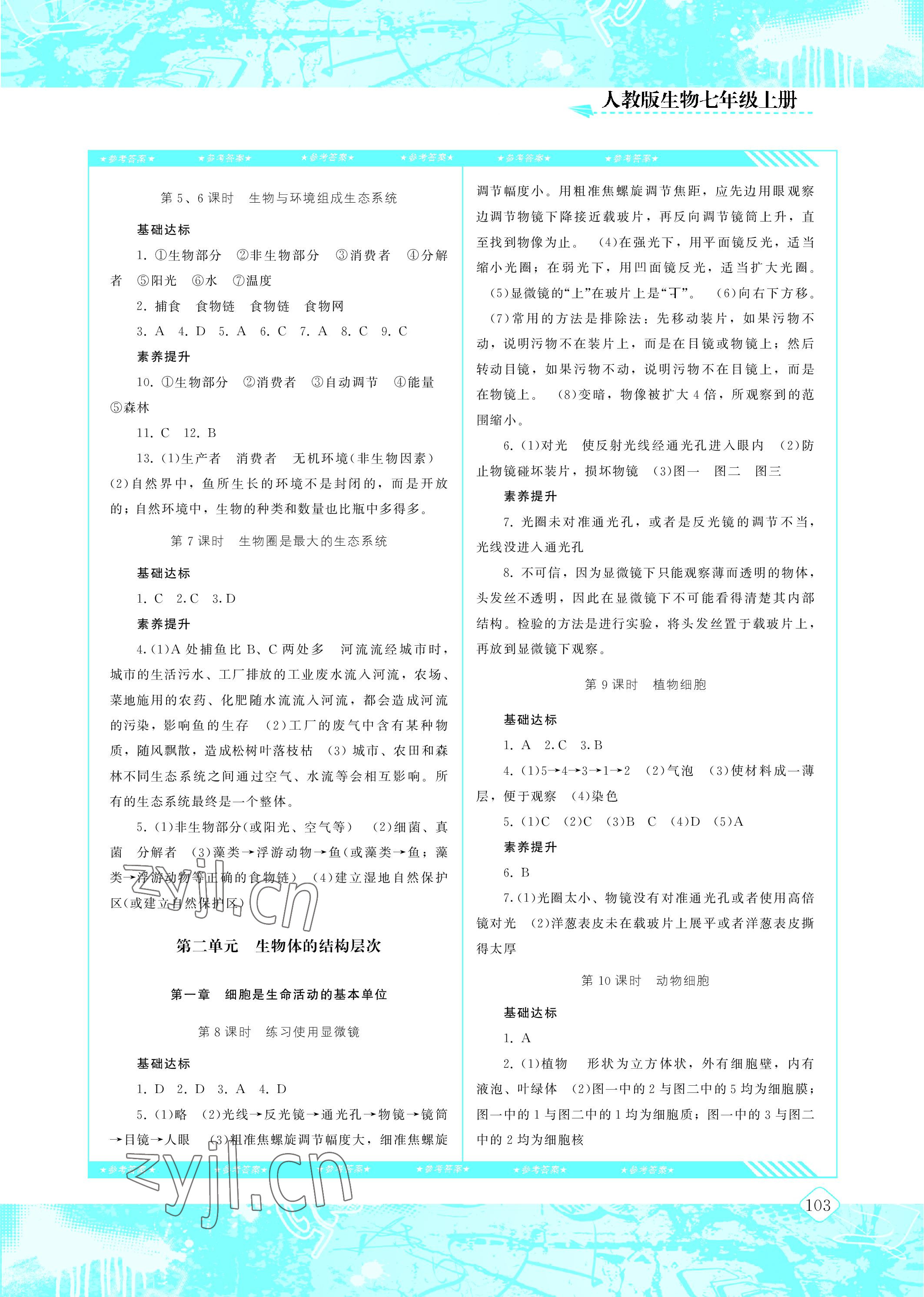 2022年同步实践评价课程基础训练七年级生物上册人教版 参考答案第2页