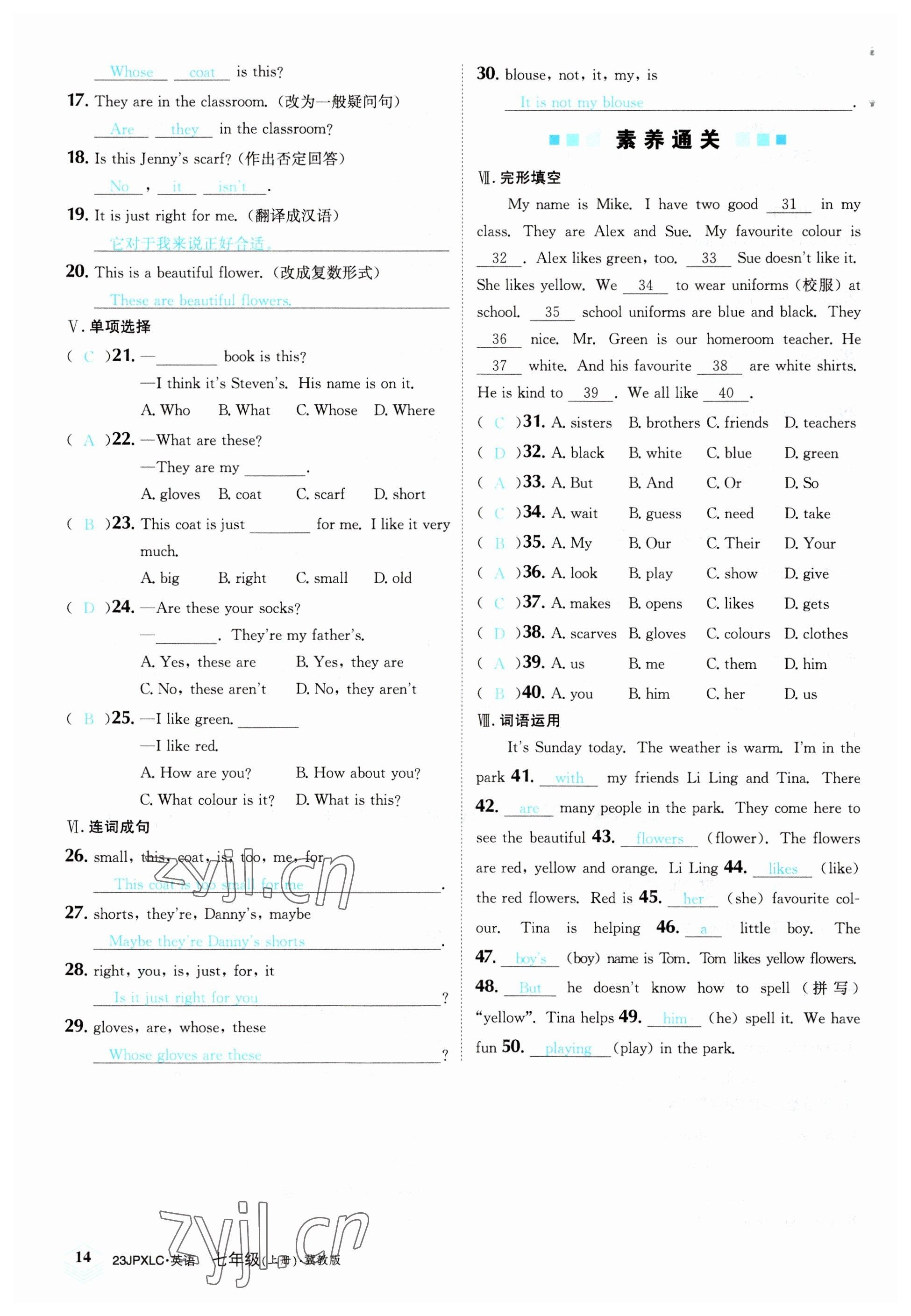 2022年金牌學練測七年級英語上冊冀教版 參考答案第14頁