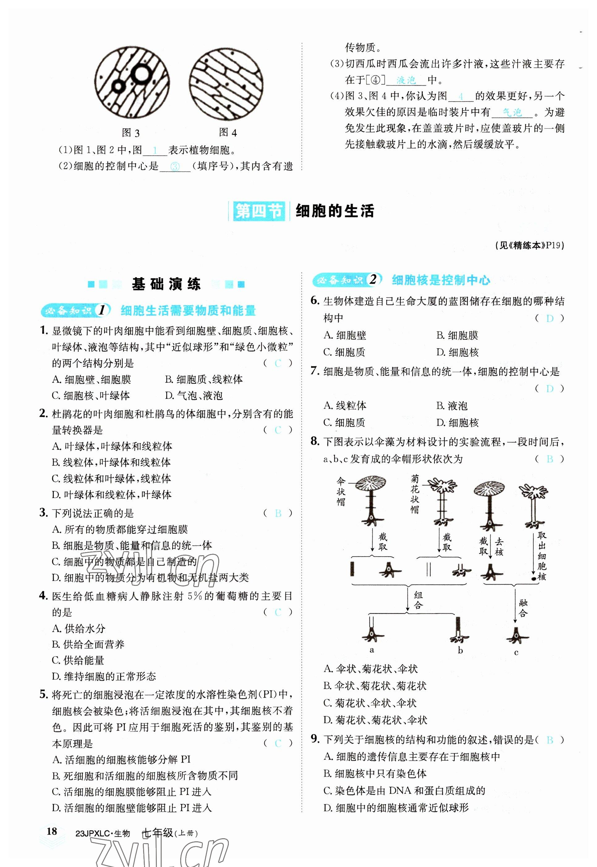 2022年金牌學(xué)練測(cè)七年級(jí)生物上冊(cè)人教版 參考答案第18頁