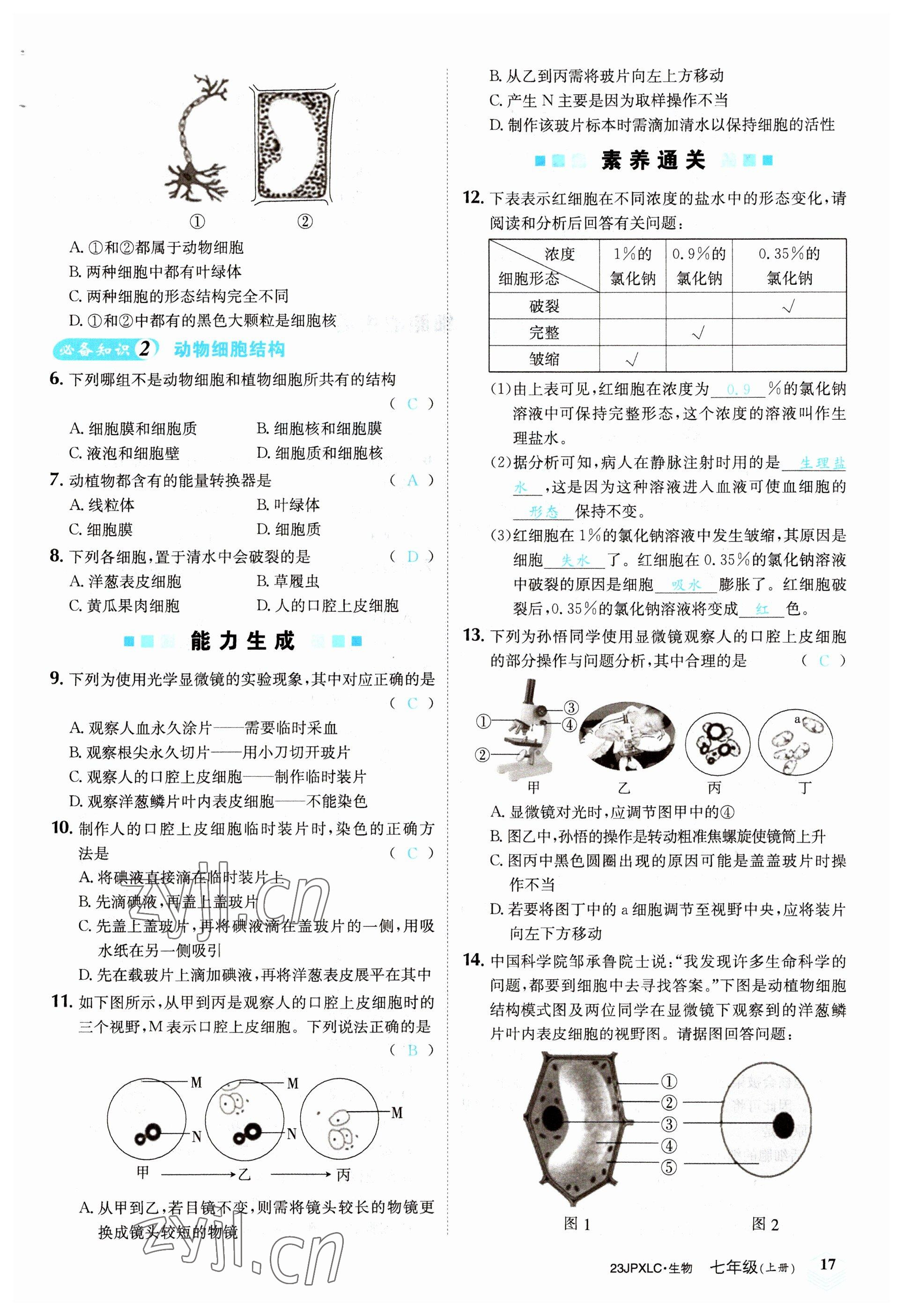 2022年金牌學(xué)練測七年級生物上冊人教版 參考答案第17頁