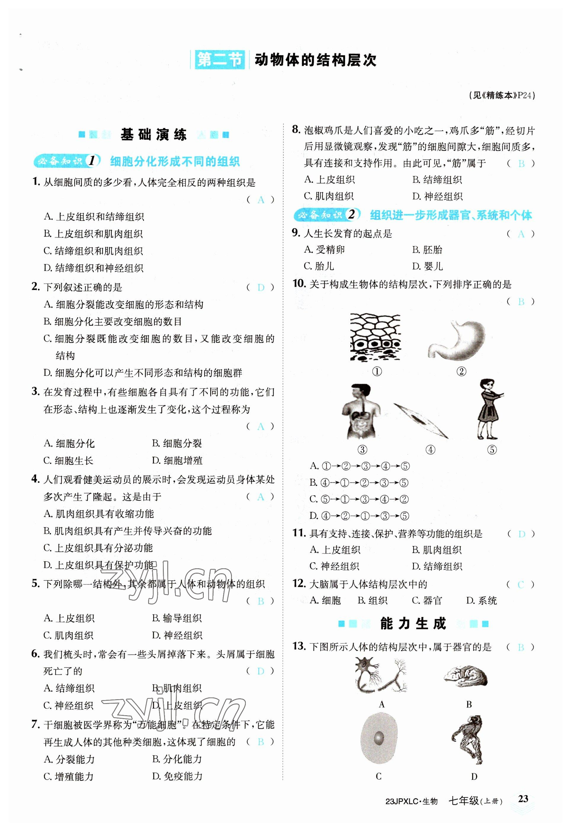 2022年金牌學(xué)練測七年級生物上冊人教版 參考答案第23頁