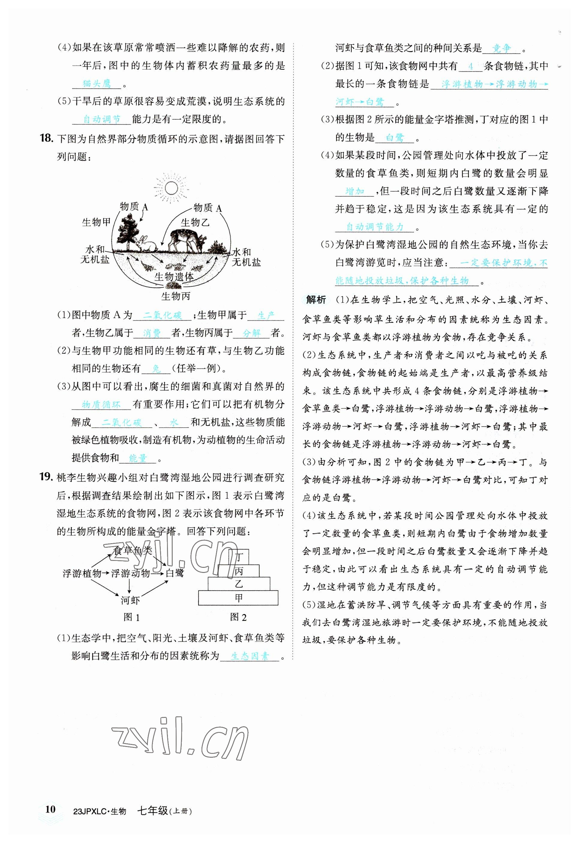 2022年金牌學(xué)練測(cè)七年級(jí)生物上冊(cè)人教版 參考答案第10頁(yè)