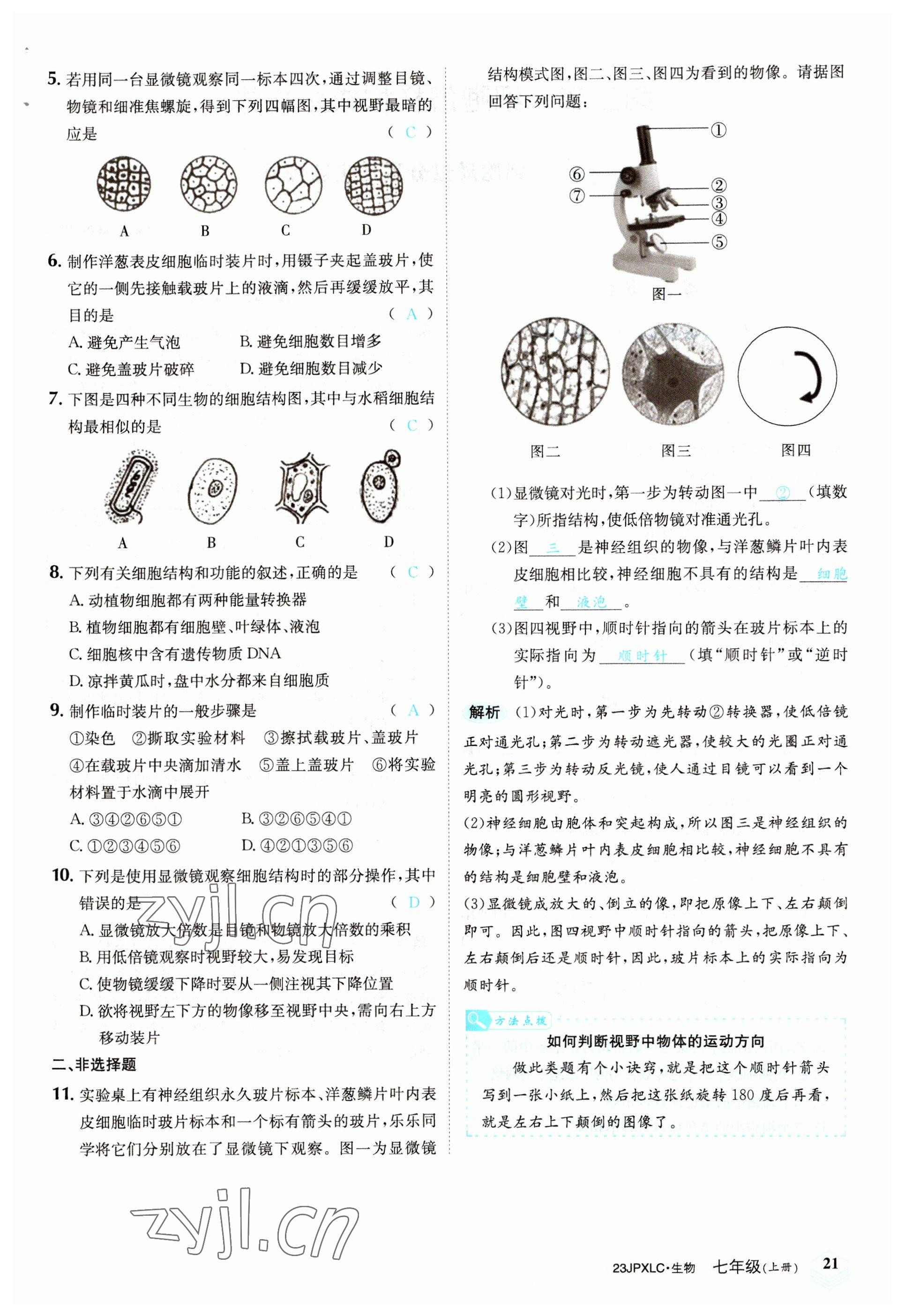 2022年金牌學(xué)練測(cè)七年級(jí)生物上冊(cè)人教版 參考答案第21頁(yè)