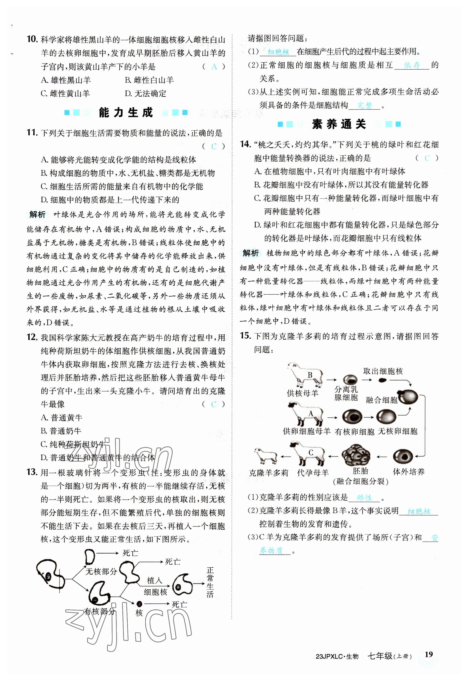 2022年金牌學(xué)練測七年級生物上冊人教版 參考答案第19頁