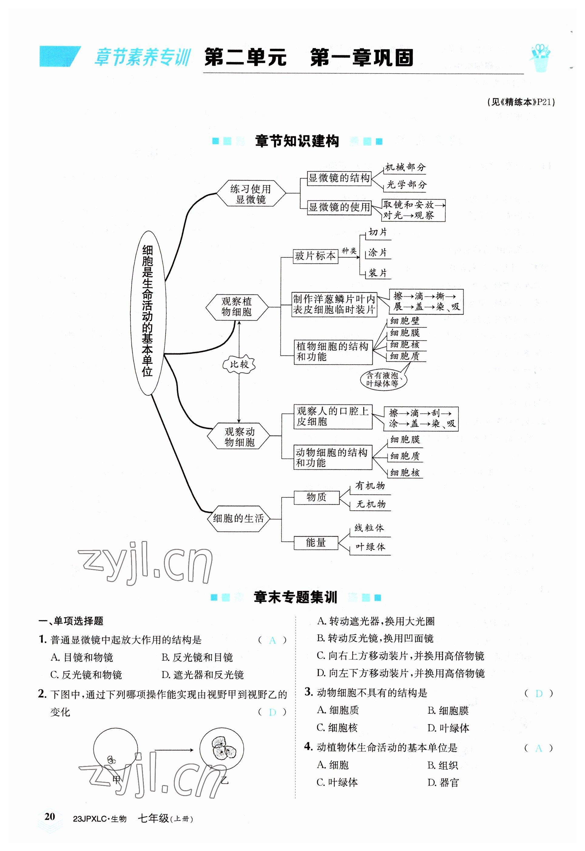 2022年金牌學(xué)練測七年級生物上冊人教版 參考答案第20頁