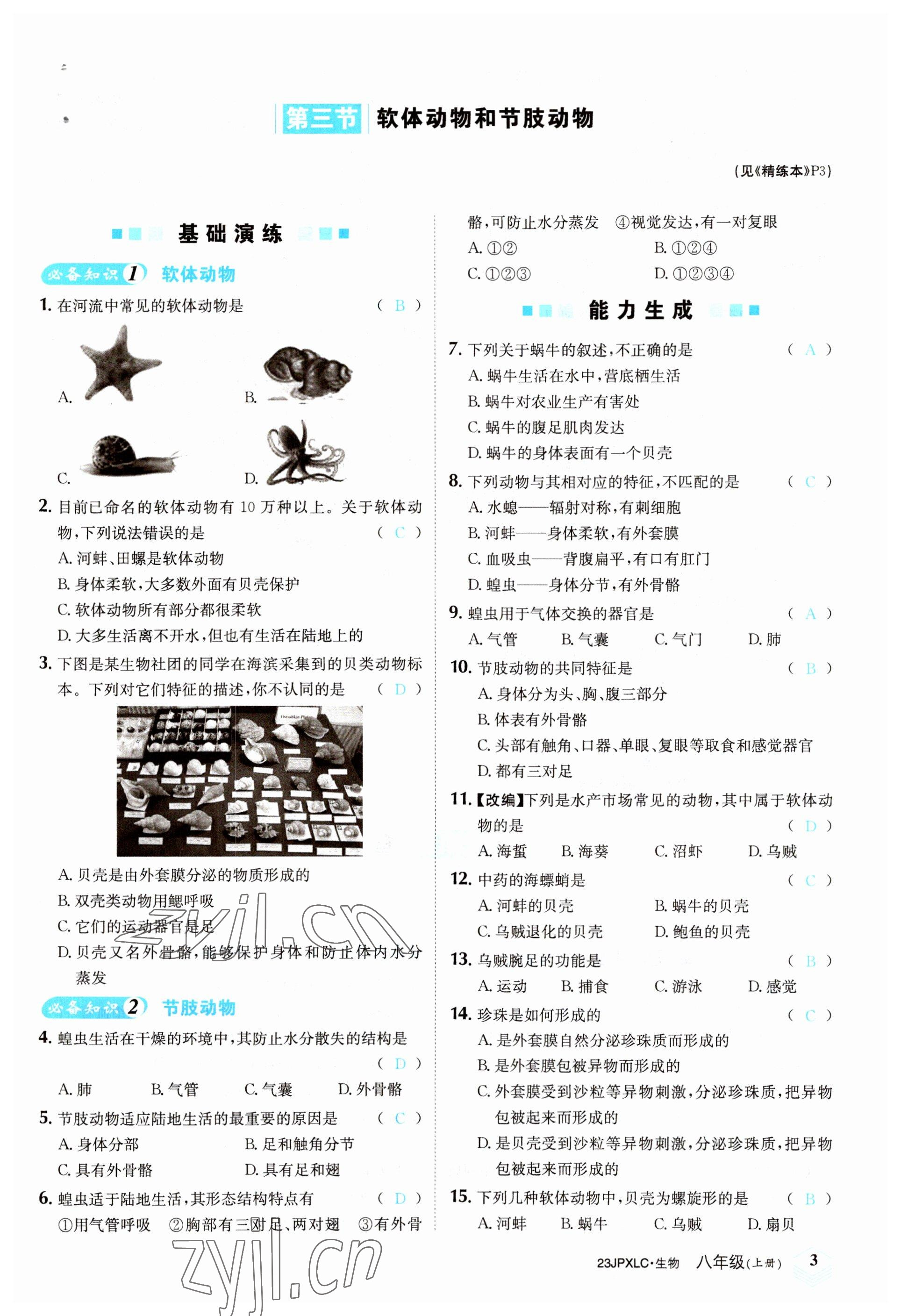 2022年金牌學練測八年級生物上冊人教版 參考答案第3頁