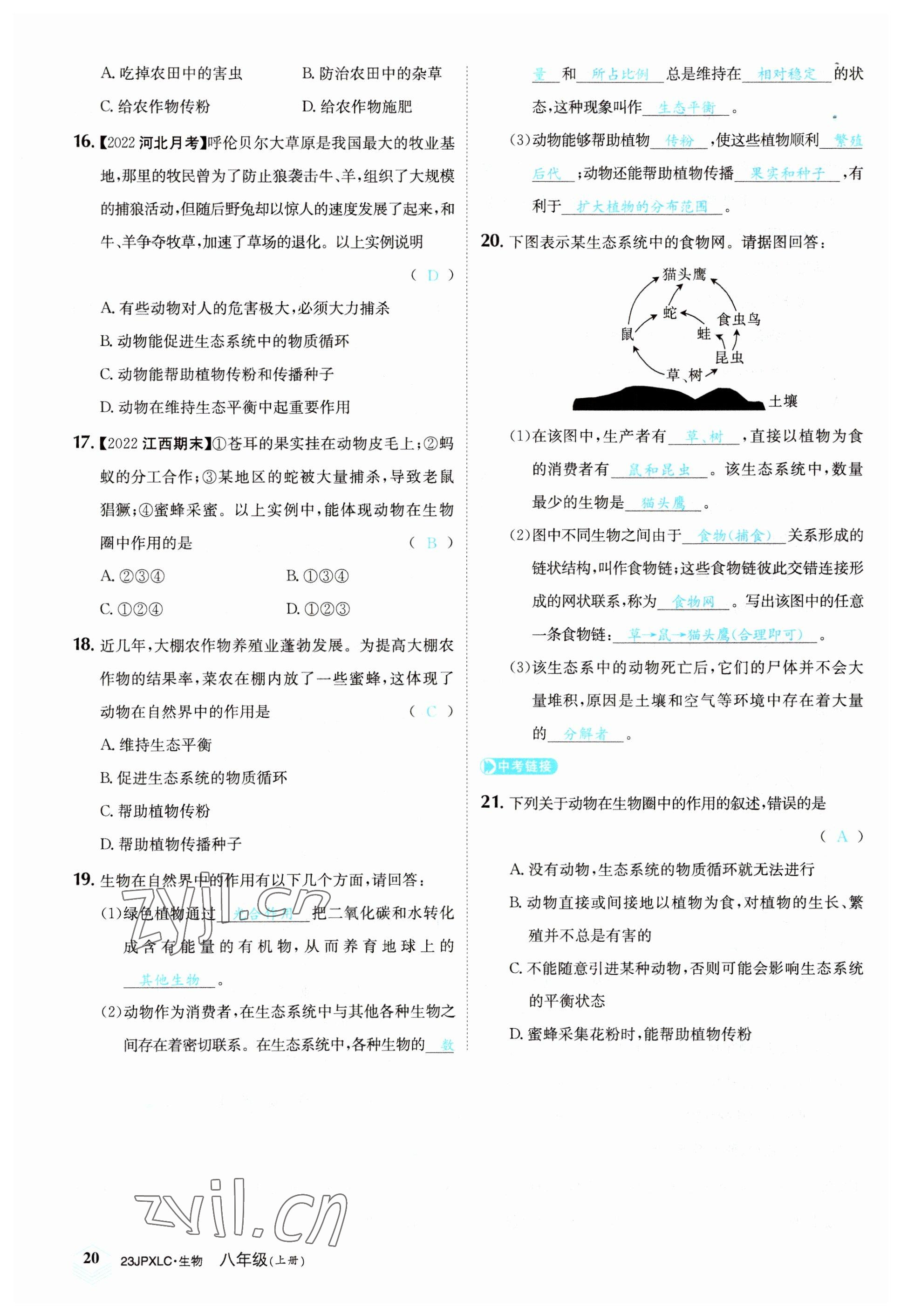 2022年金牌學練測八年級生物上冊人教版 參考答案第20頁