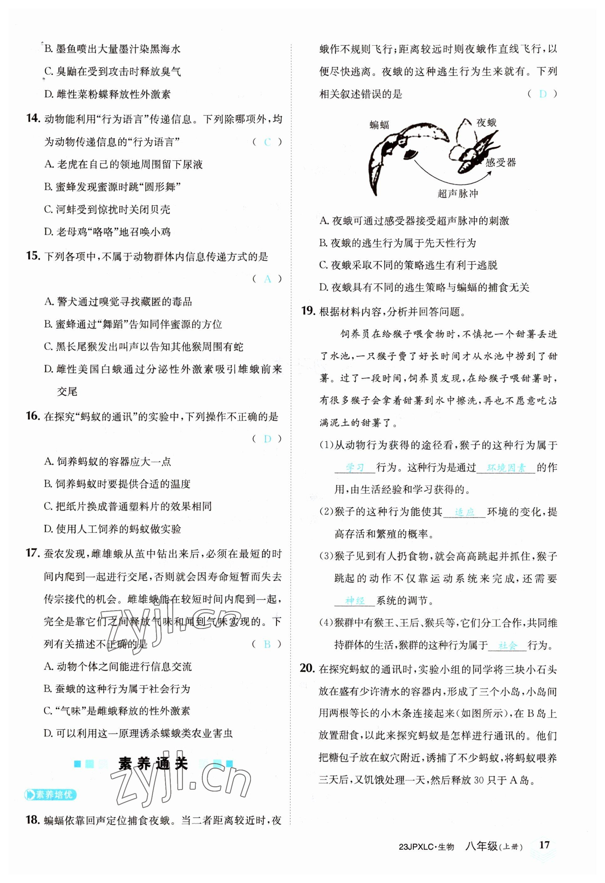 2022年金牌學練測八年級生物上冊人教版 參考答案第17頁