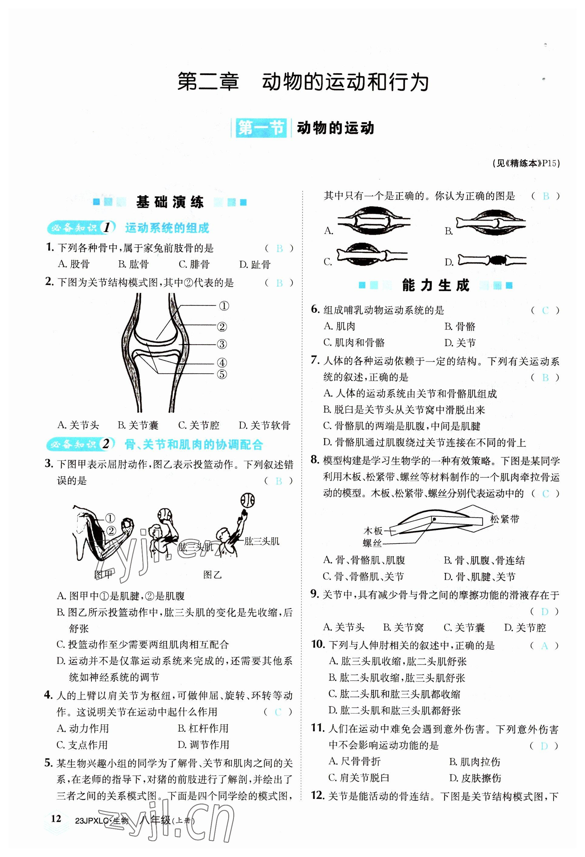 2022年金牌學練測八年級生物上冊人教版 參考答案第12頁