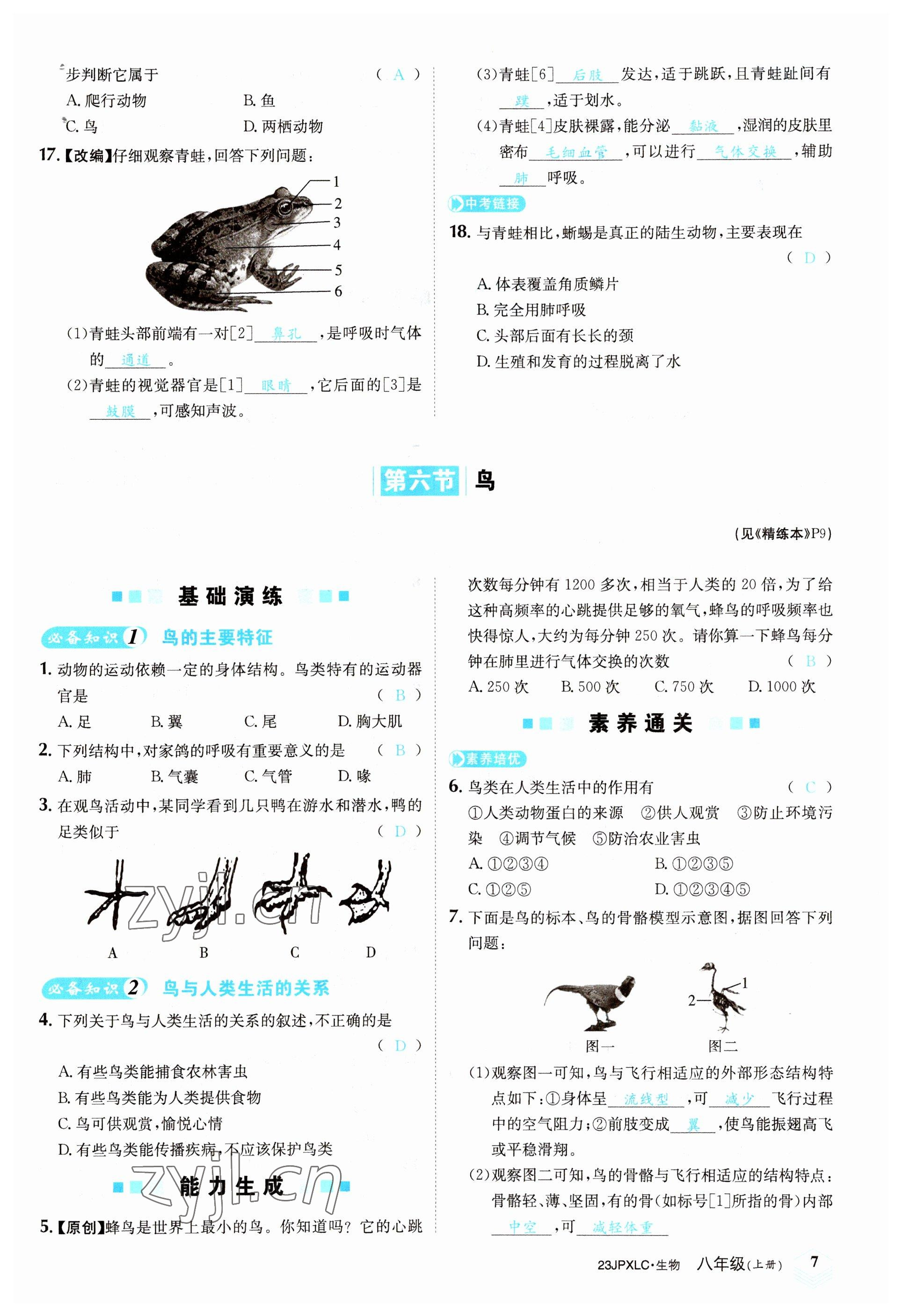 2022年金牌學練測八年級生物上冊人教版 參考答案第7頁