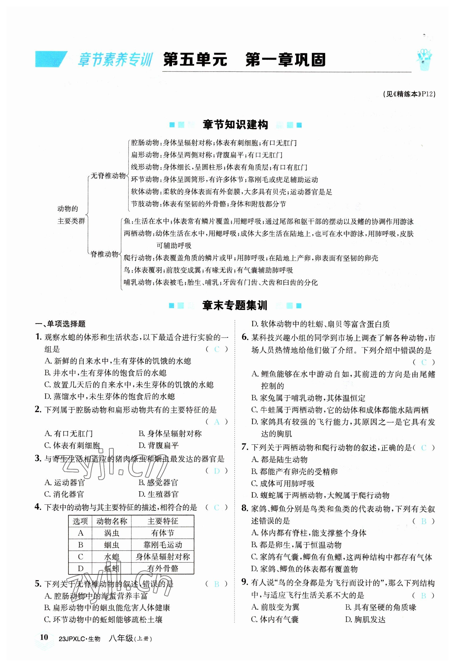 2022年金牌學練測八年級生物上冊人教版 參考答案第10頁