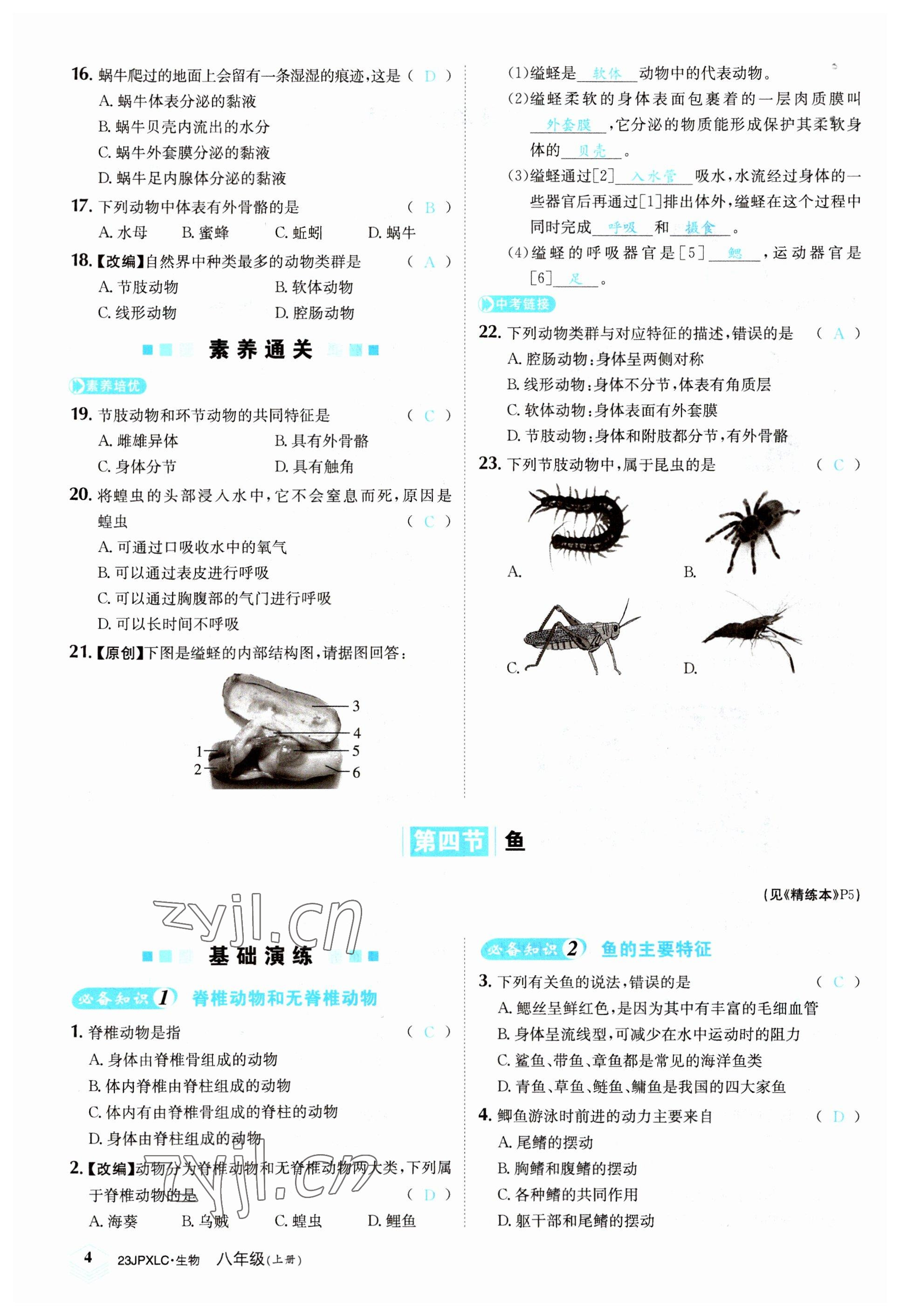 2022年金牌學練測八年級生物上冊人教版 參考答案第4頁