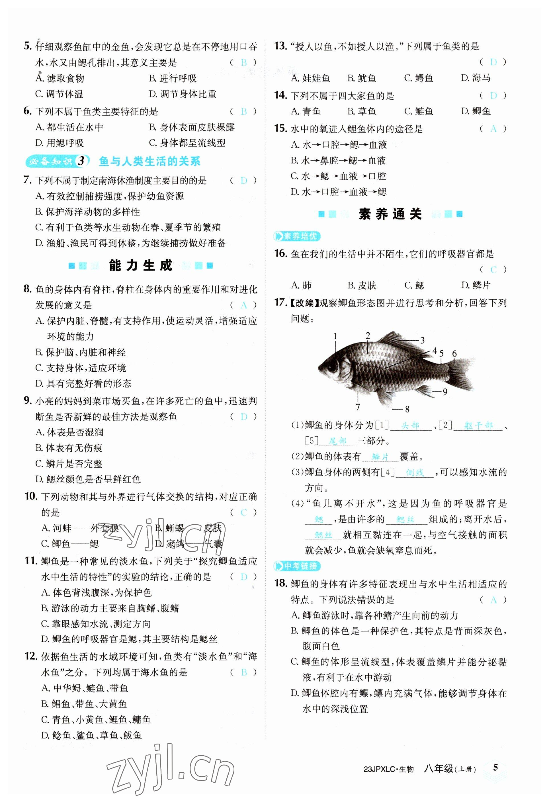 2022年金牌學練測八年級生物上冊人教版 參考答案第5頁