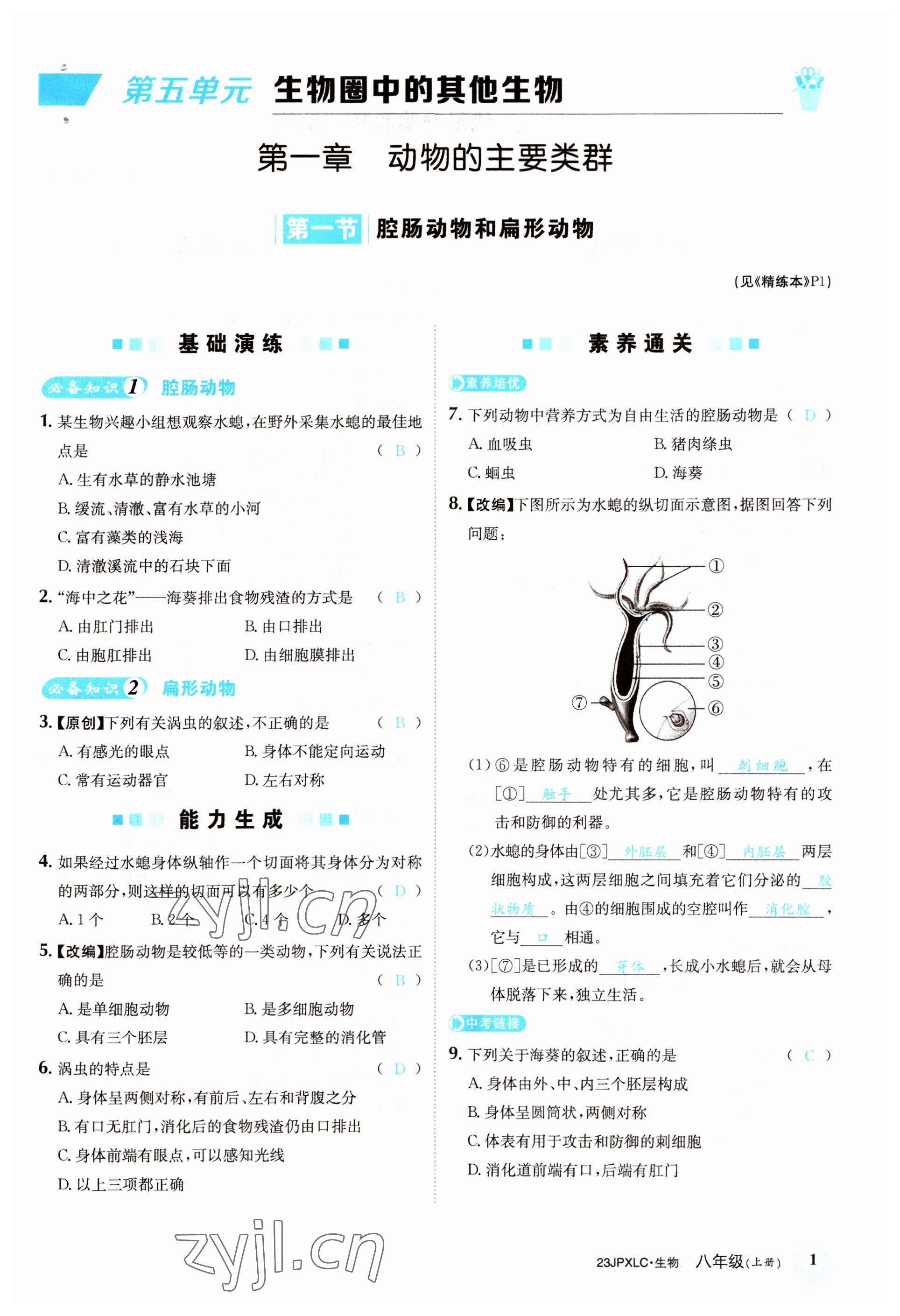 2022年金牌學練測八年級生物上冊人教版 參考答案第1頁