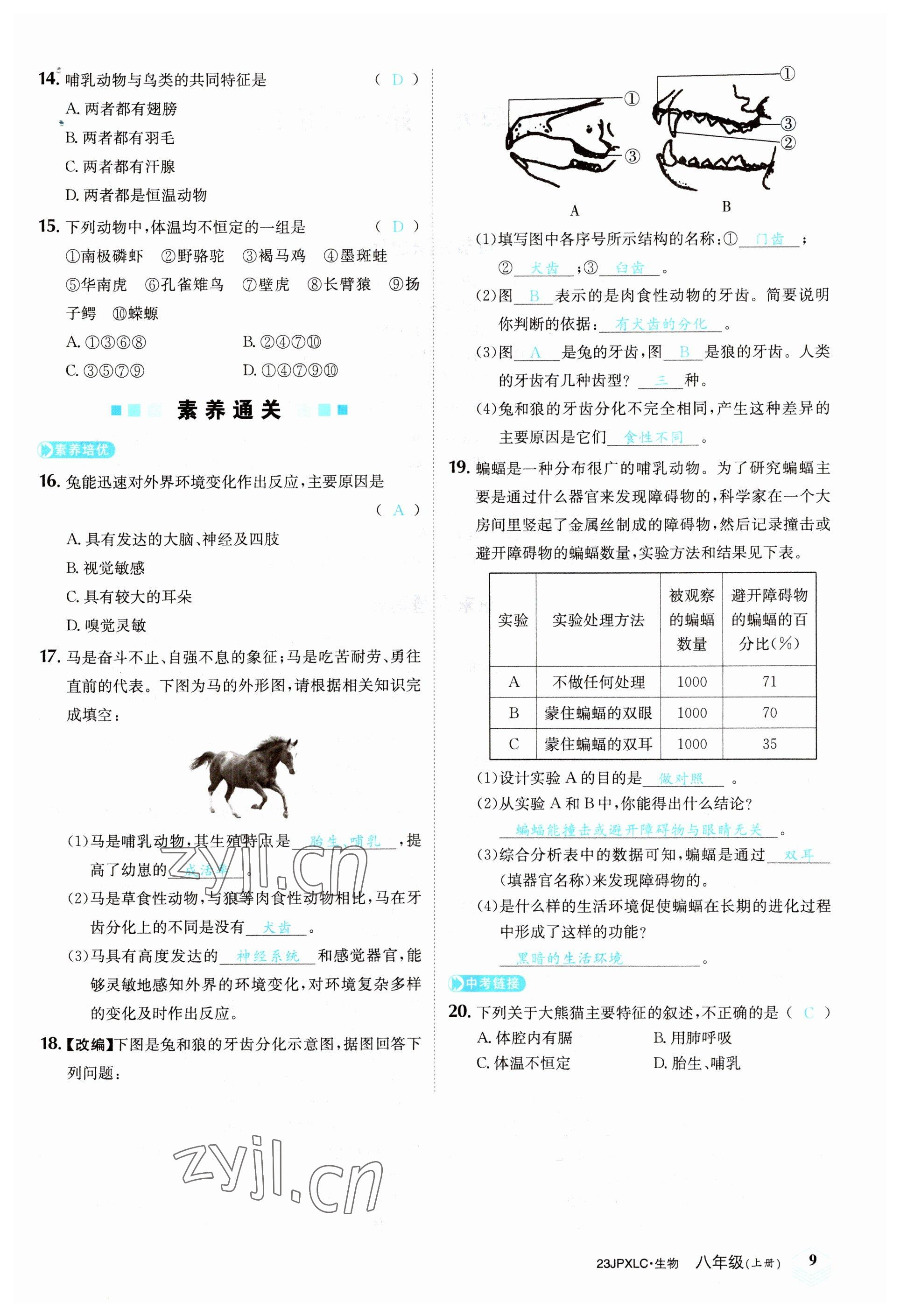 2022年金牌學練測八年級生物上冊人教版 參考答案第9頁