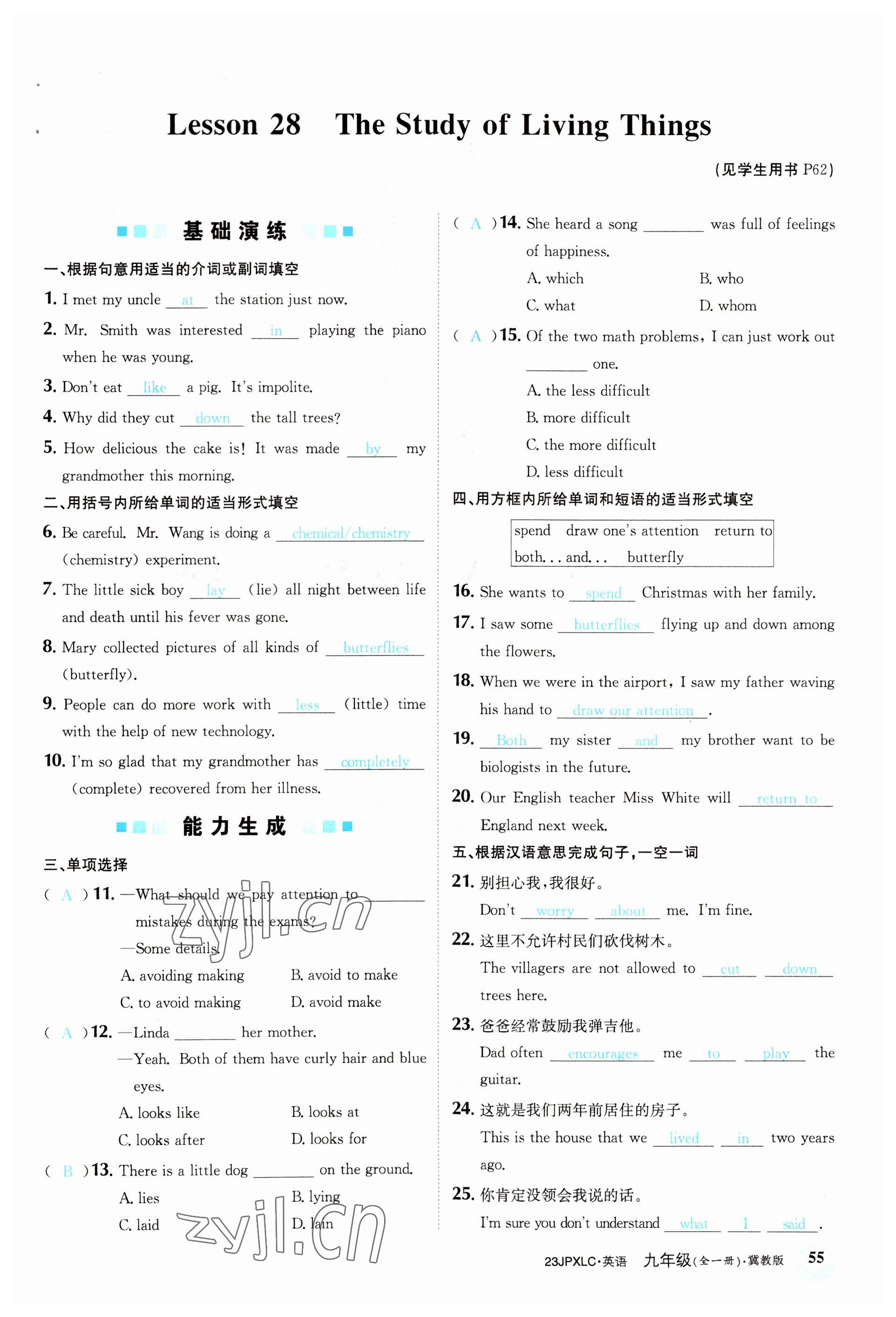 2022年金牌學練測九年級英語全一冊冀教版 參考答案第55頁