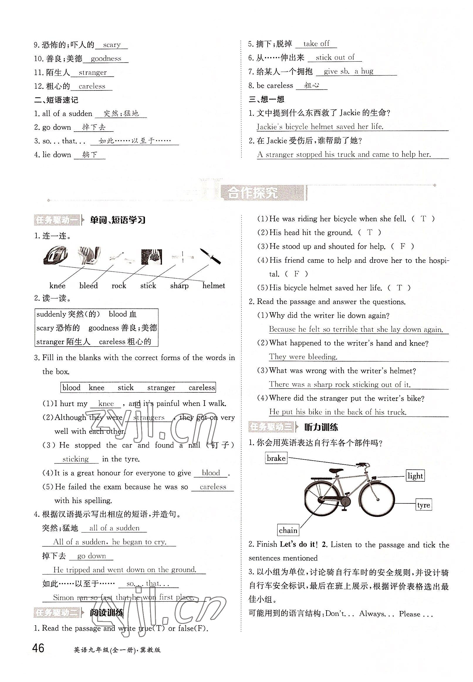 2022年金太陽導(dǎo)學(xué)案九年級英語全一冊冀教版 參考答案第46頁