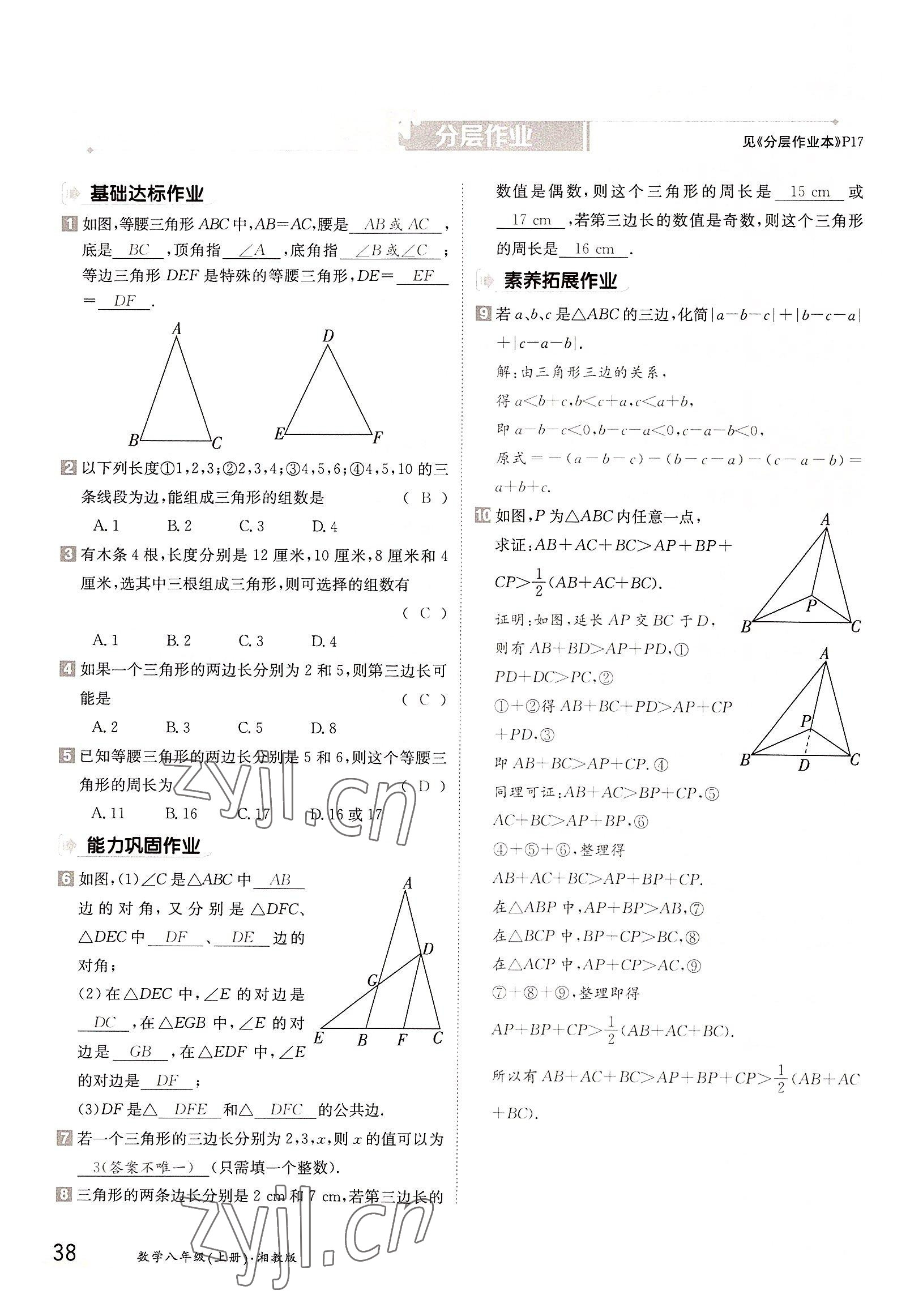 2022年金太阳导学案八年级数学上册湘教版 参考答案第38页