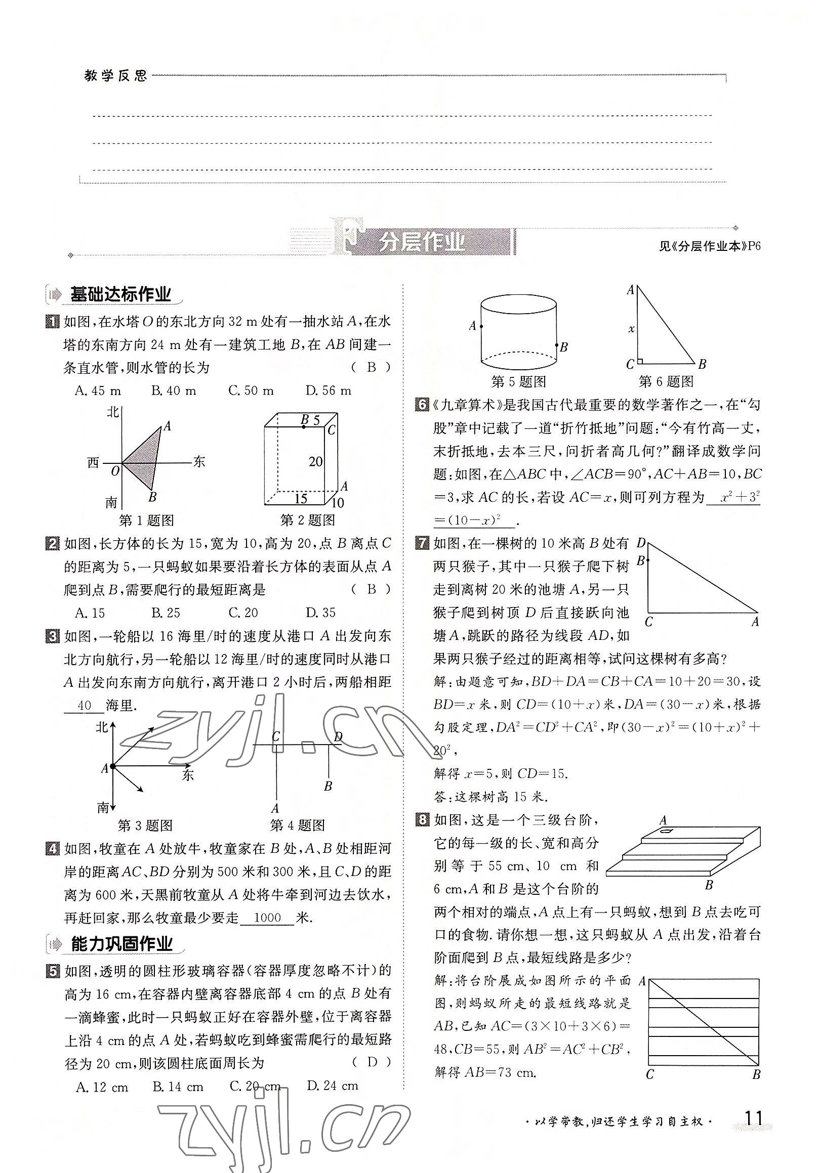 2022年金太陽導學案八年級數(shù)學上冊北師大版 參考答案第11頁