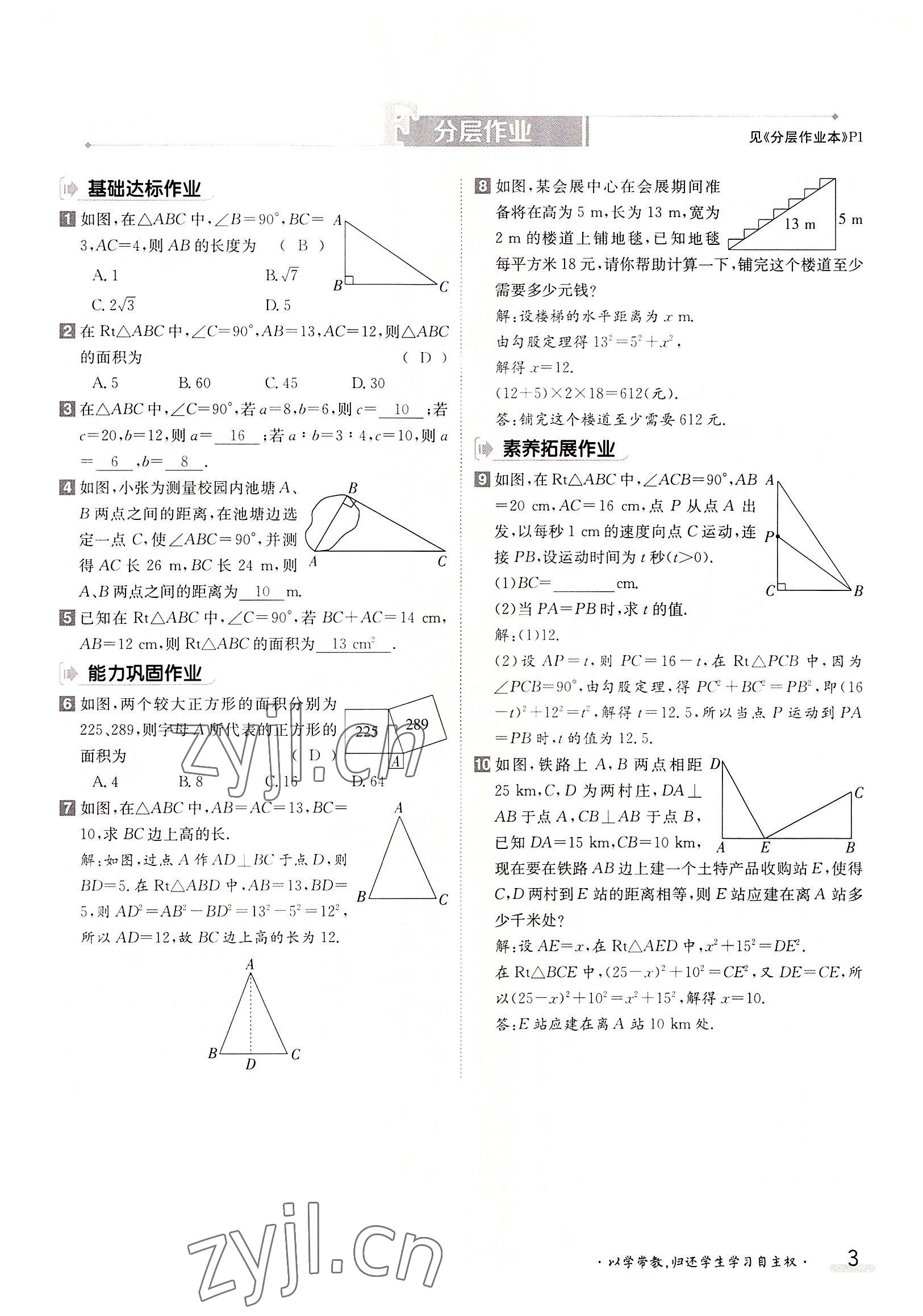 2022年金太陽導(dǎo)學(xué)案八年級數(shù)學(xué)上冊北師大版 參考答案第3頁