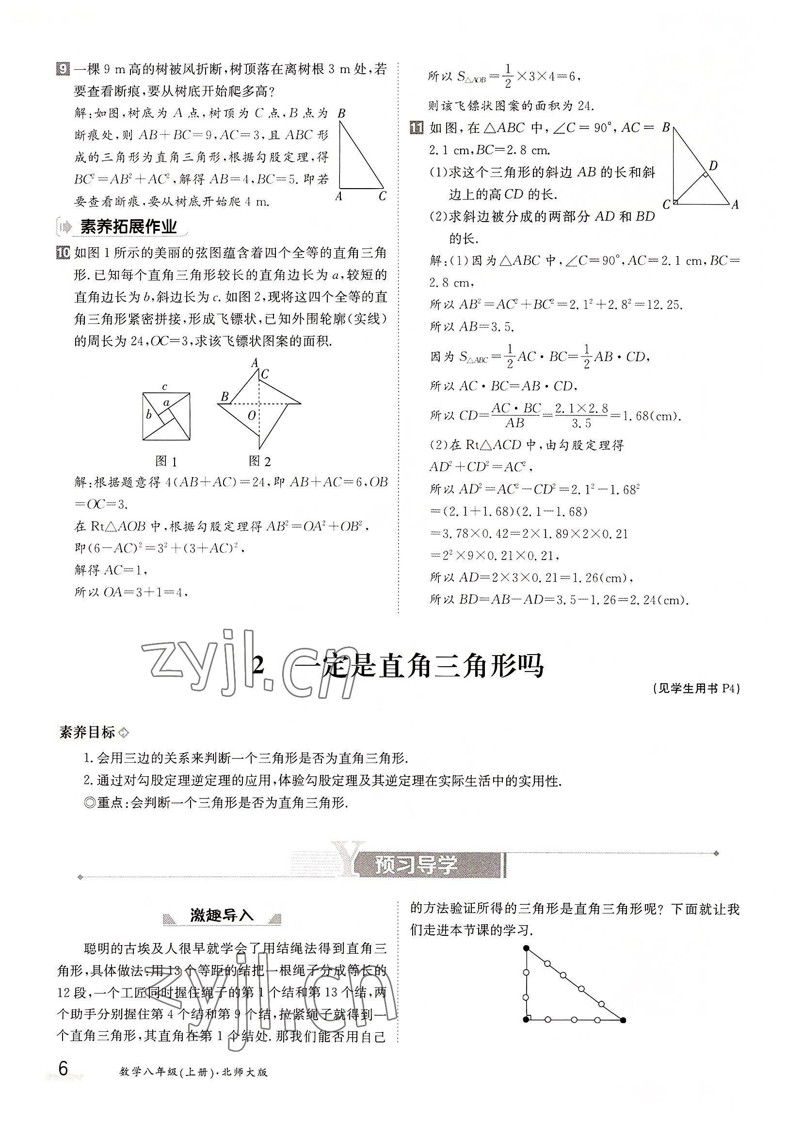 2022年金太陽導(dǎo)學(xué)案八年級(jí)數(shù)學(xué)上冊(cè)北師大版 參考答案第6頁