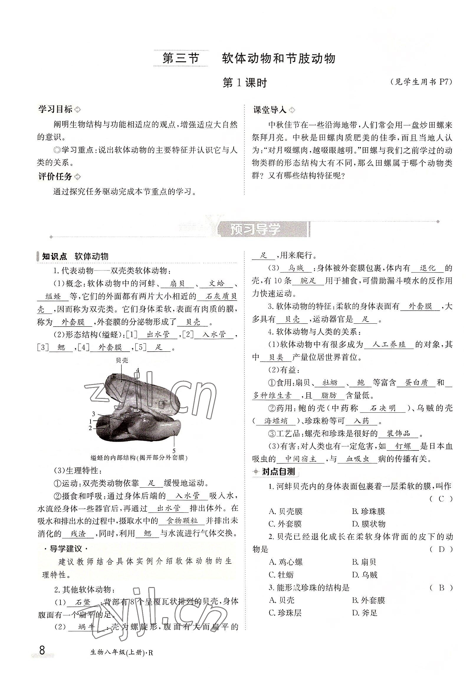 2022年金太陽導(dǎo)學(xué)案八年級生物上冊人教版 參考答案第8頁