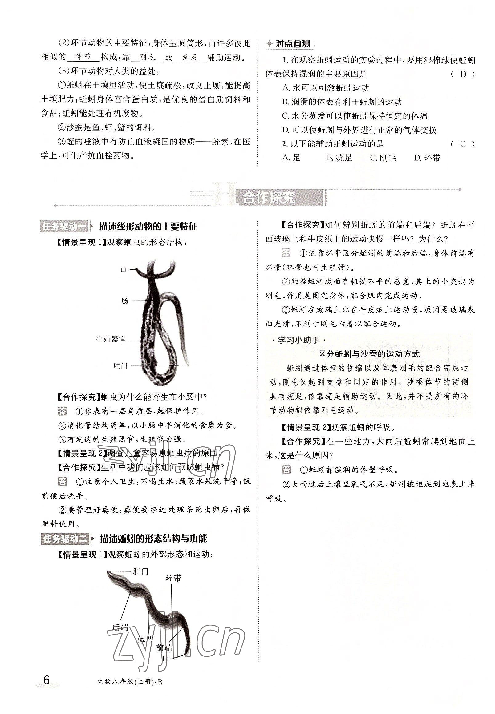 2022年金太阳导学案八年级生物上册人教版 参考答案第6页