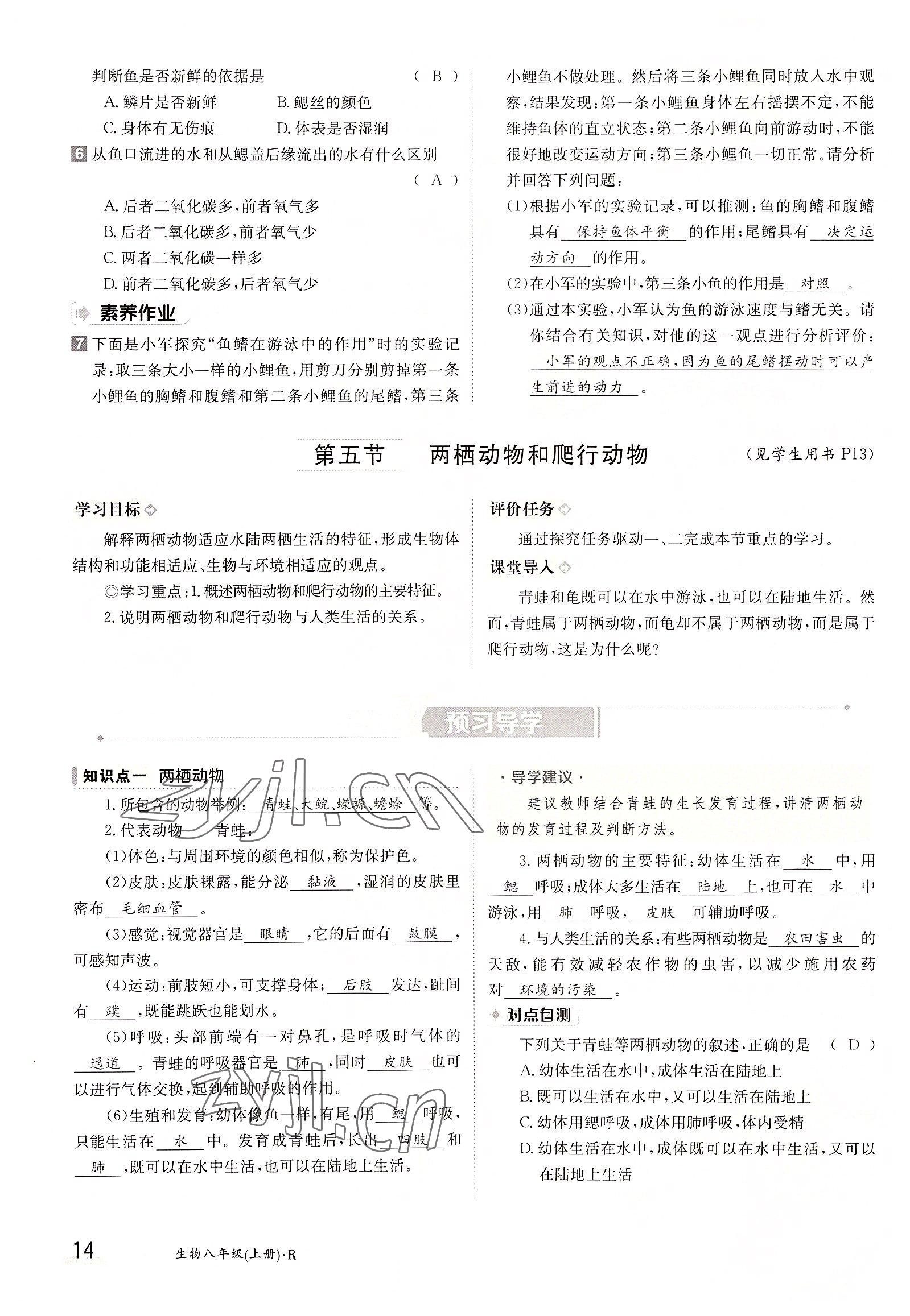 2022年金太陽導(dǎo)學(xué)案八年級生物上冊人教版 參考答案第14頁