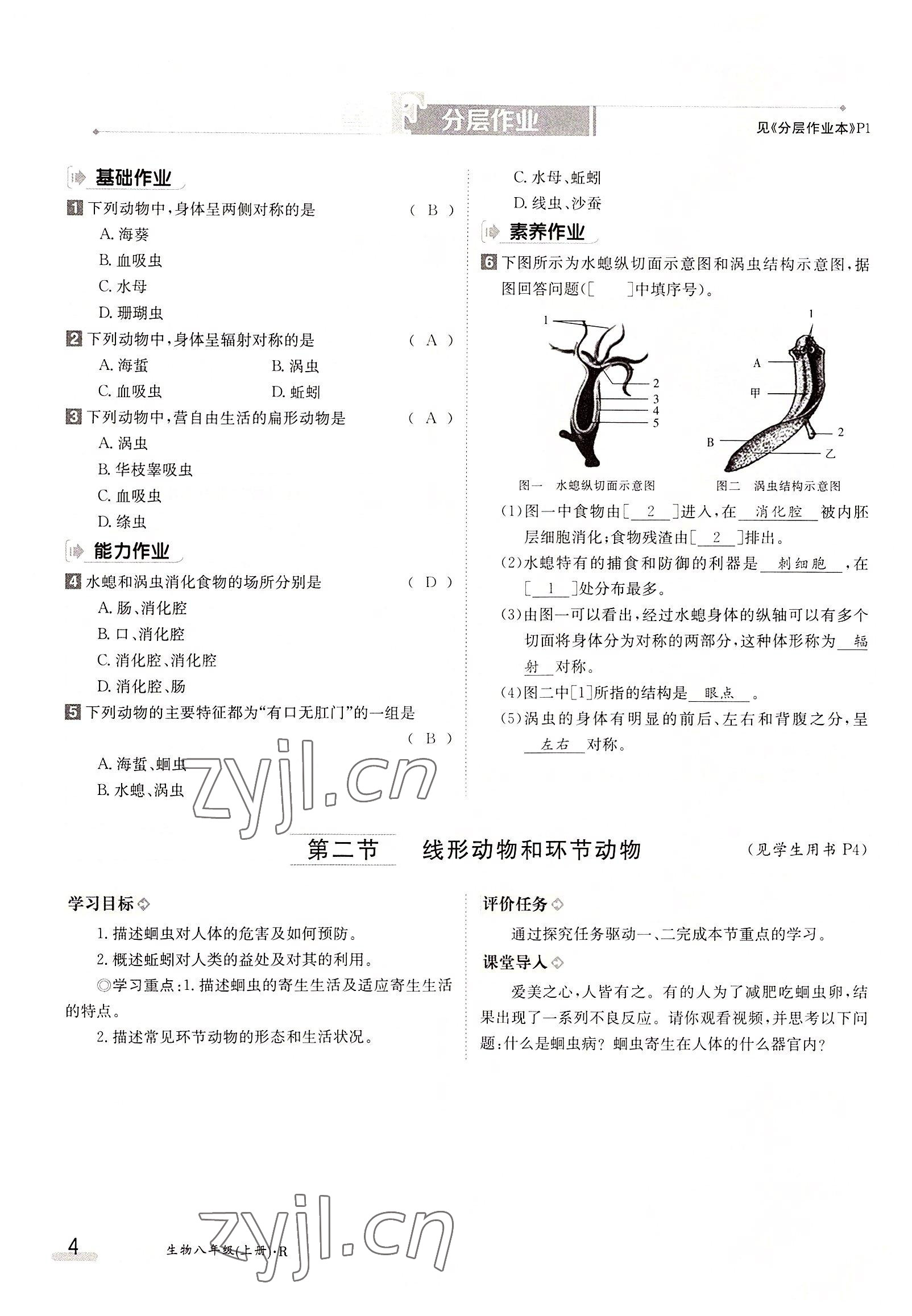 2022年金太陽導(dǎo)學(xué)案八年級生物上冊人教版 參考答案第4頁