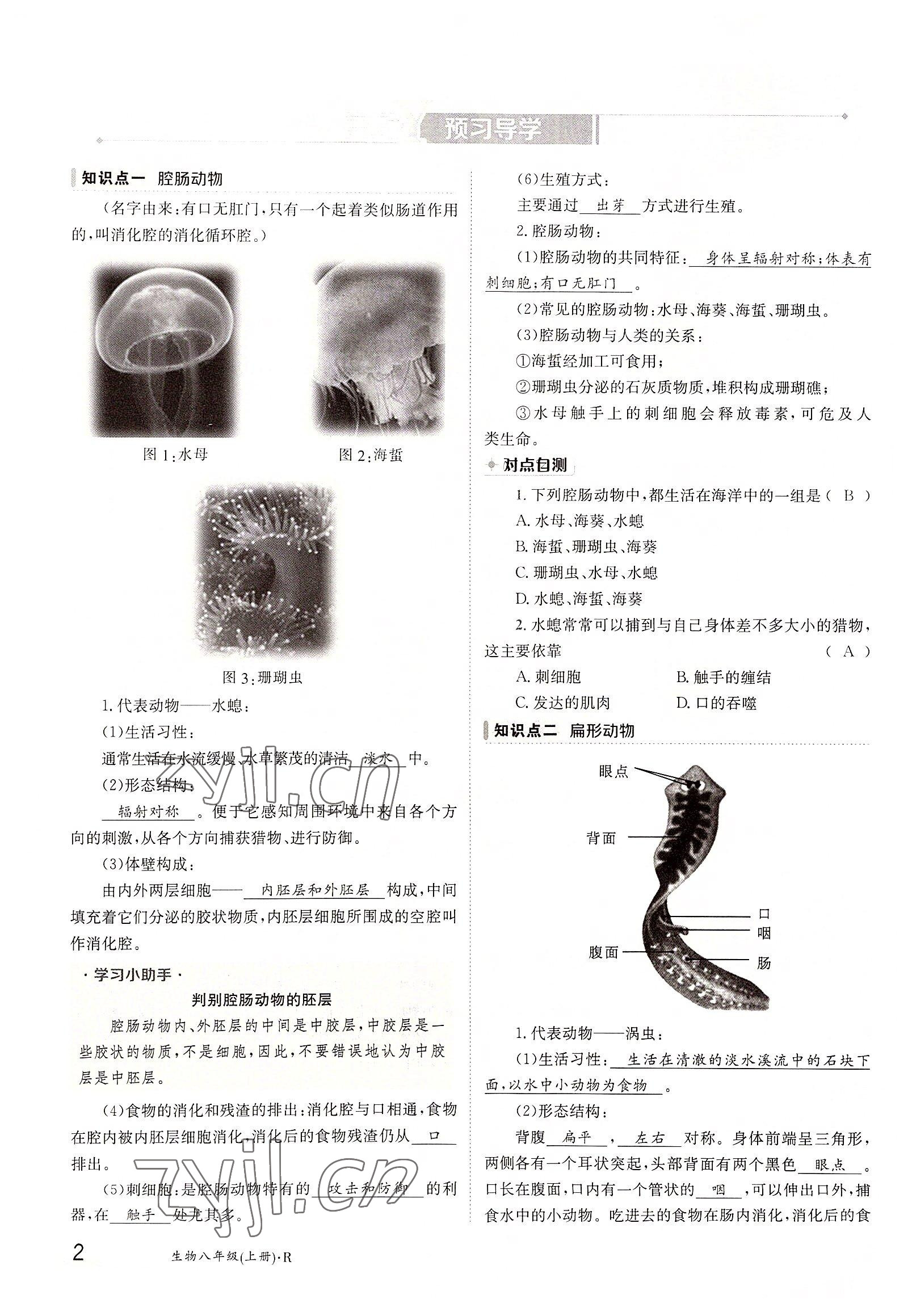 2022年金太陽(yáng)導(dǎo)學(xué)案八年級(jí)生物上冊(cè)人教版 參考答案第2頁(yè)