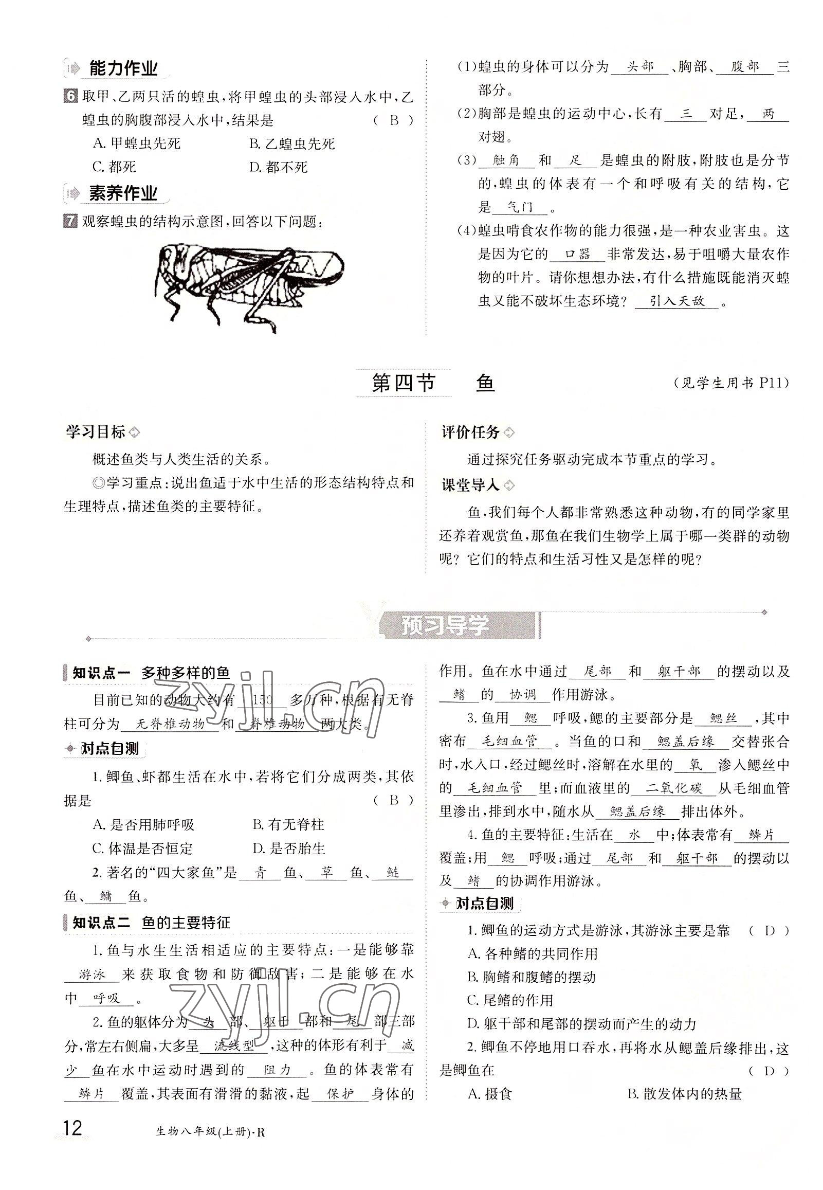 2022年金太陽(yáng)導(dǎo)學(xué)案八年級(jí)生物上冊(cè)人教版 參考答案第12頁(yè)