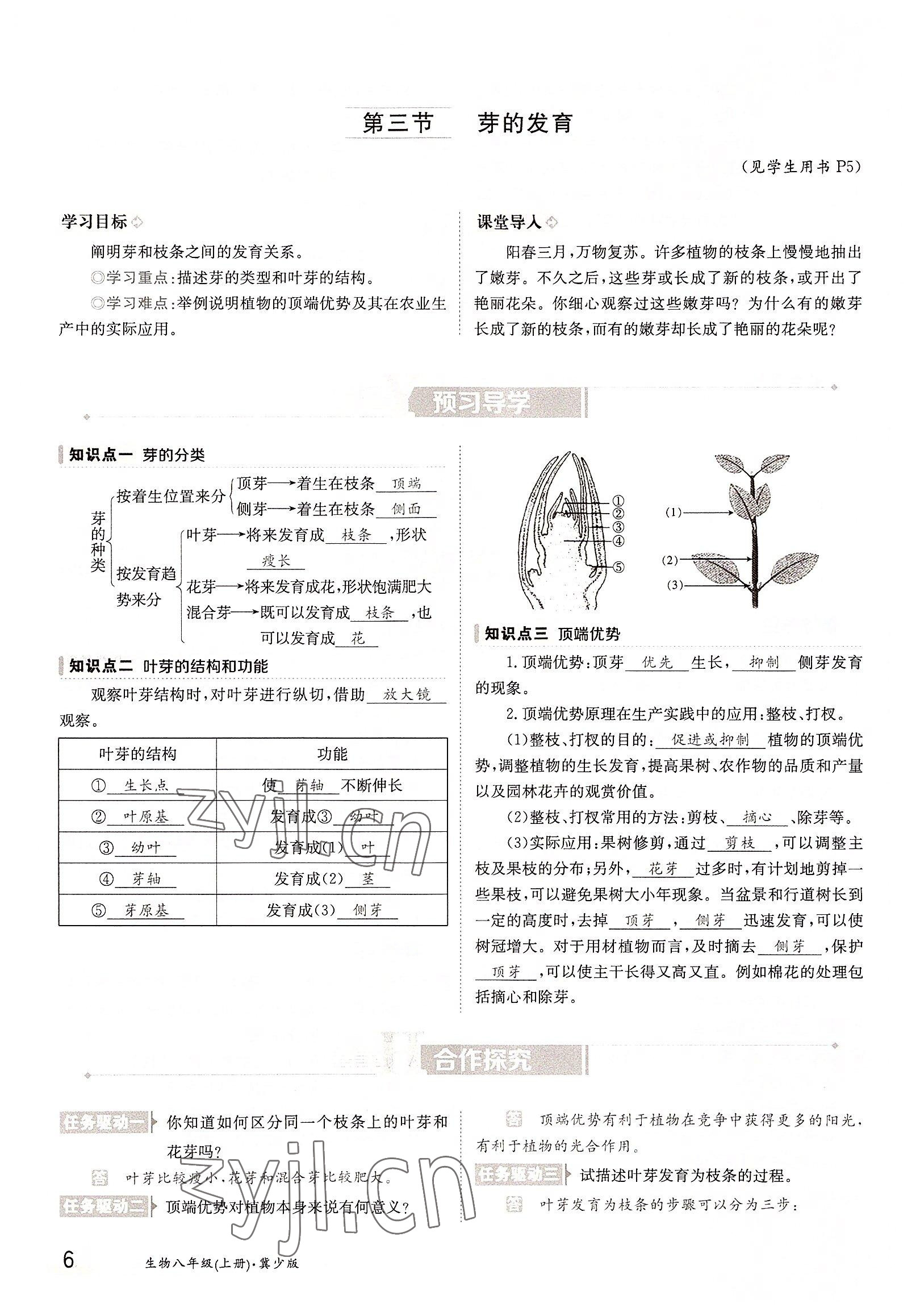 2022年金太陽導(dǎo)學(xué)案八年級生物上冊冀少版 參考答案第6頁