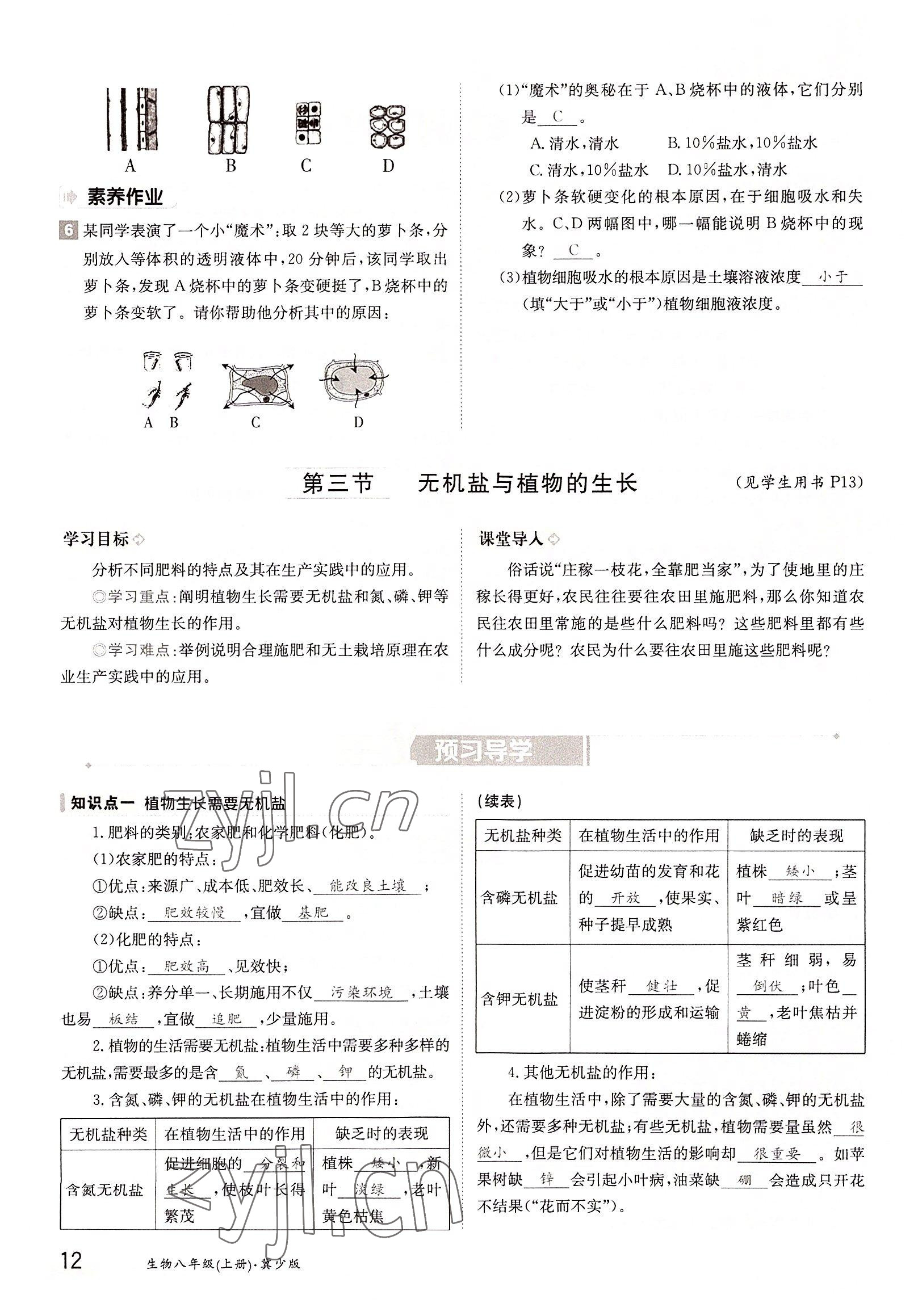 2022年金太陽導學案八年級生物上冊冀少版 參考答案第12頁