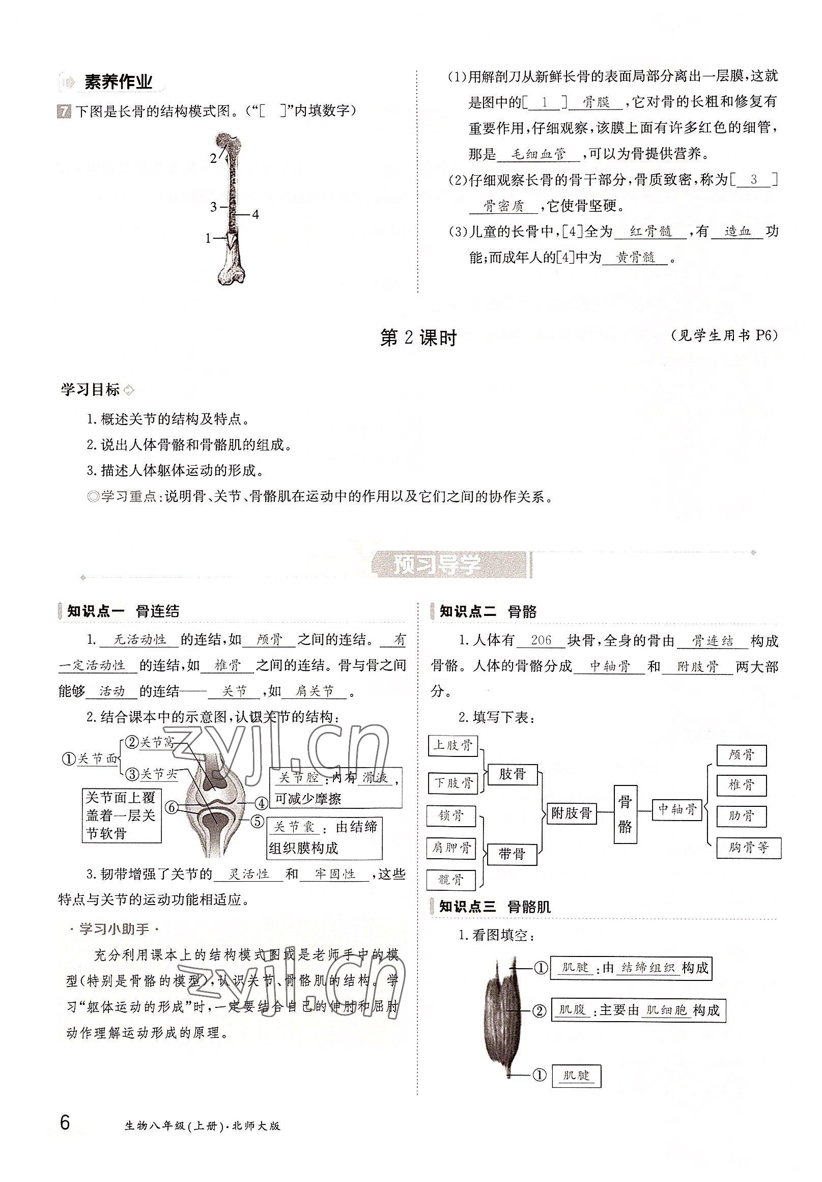 2022年金太陽導學案八年級生物上冊北師大版 參考答案第6頁