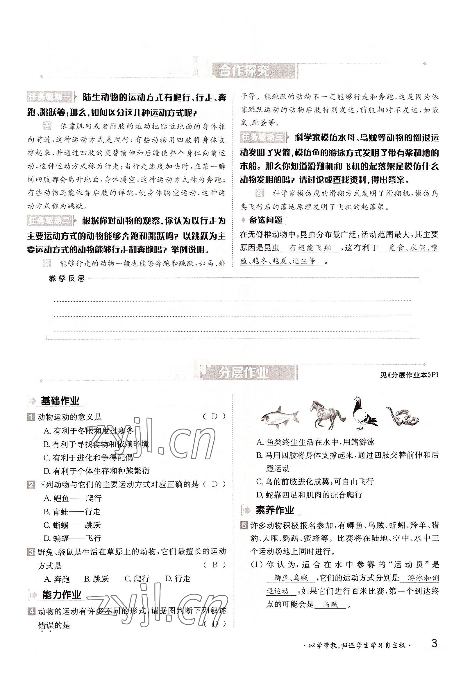 2022年金太陽(yáng)導(dǎo)學(xué)案八年級(jí)生物上冊(cè)北師大版 參考答案第3頁(yè)