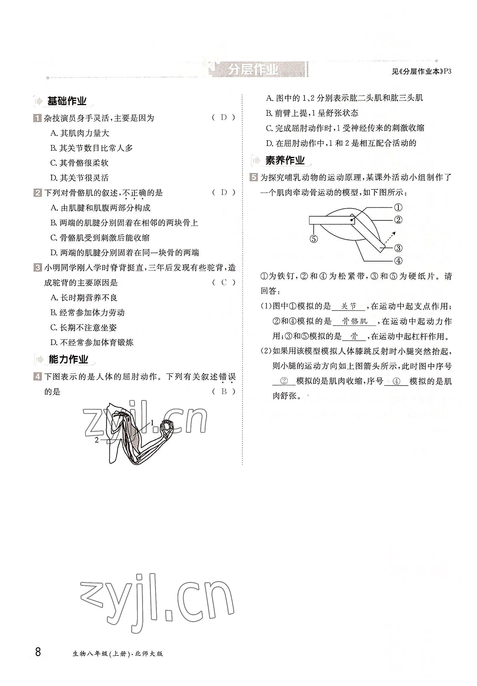 2022年金太陽(yáng)導(dǎo)學(xué)案八年級(jí)生物上冊(cè)北師大版 參考答案第8頁(yè)