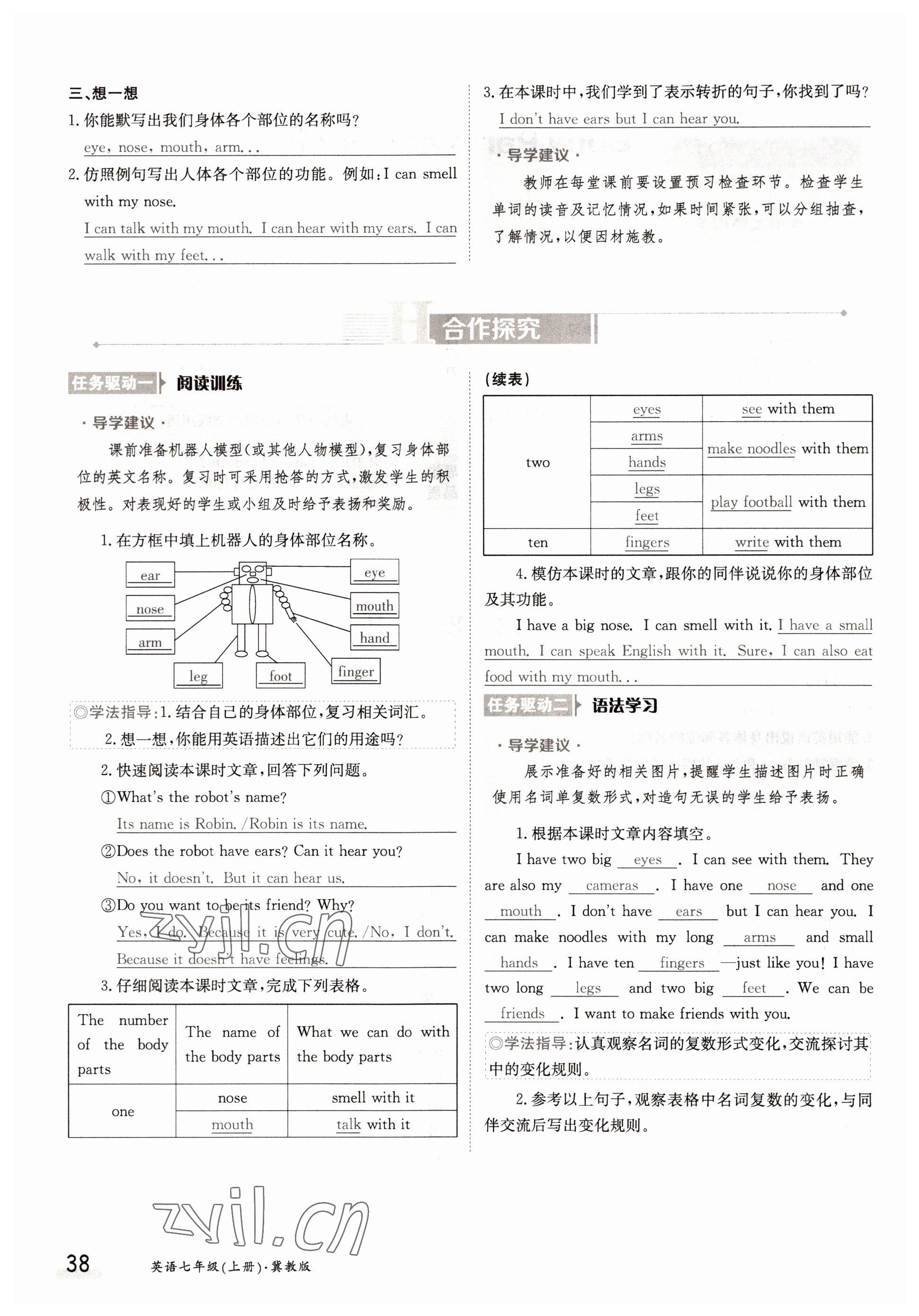 2022年金太陽(yáng)導(dǎo)學(xué)案七年級(jí)英語(yǔ)上冊(cè)冀教版 參考答案第38頁(yè)