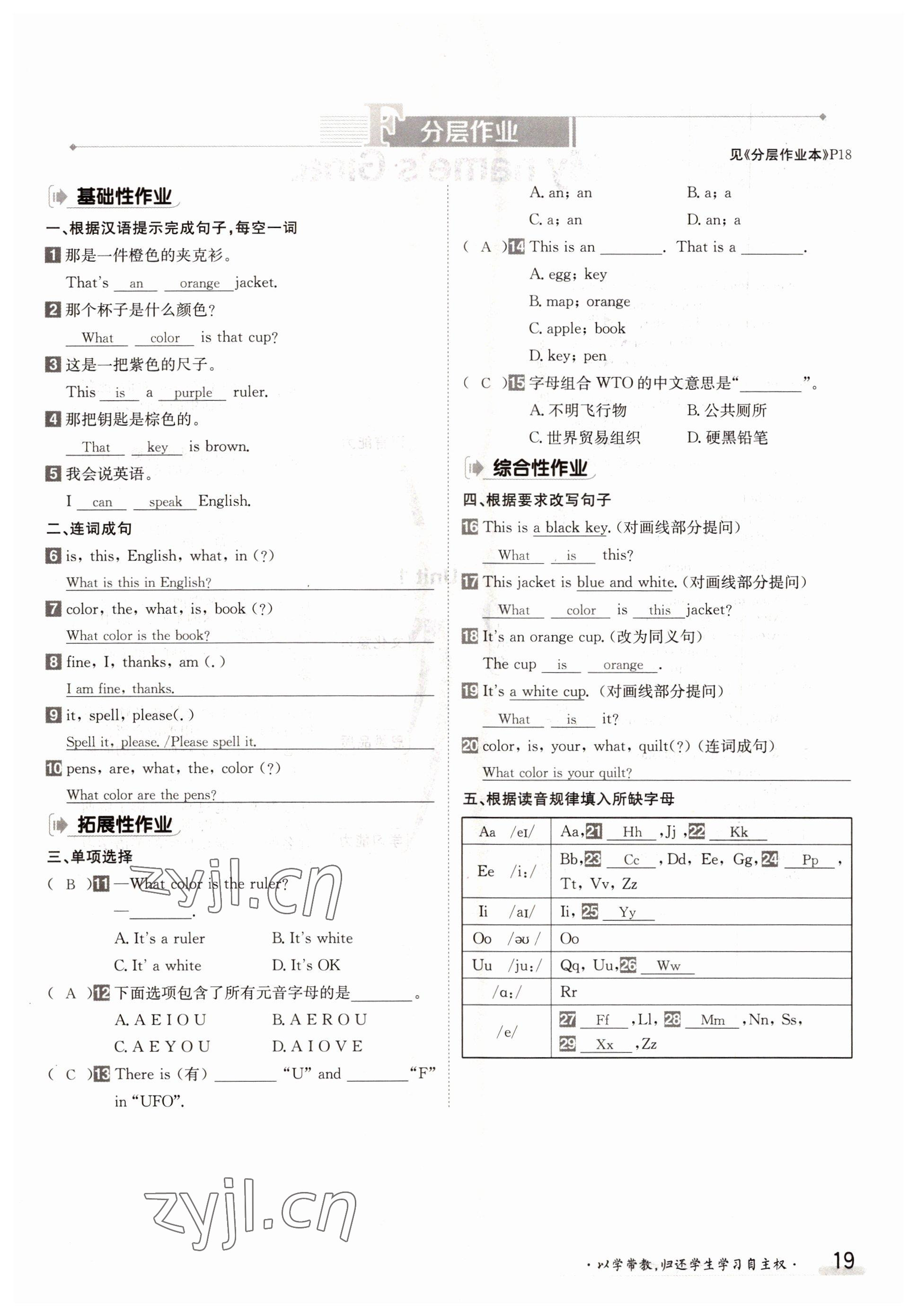 2022年金太陽導(dǎo)學(xué)案七年級(jí)英語上冊(cè)人教版 參考答案第19頁