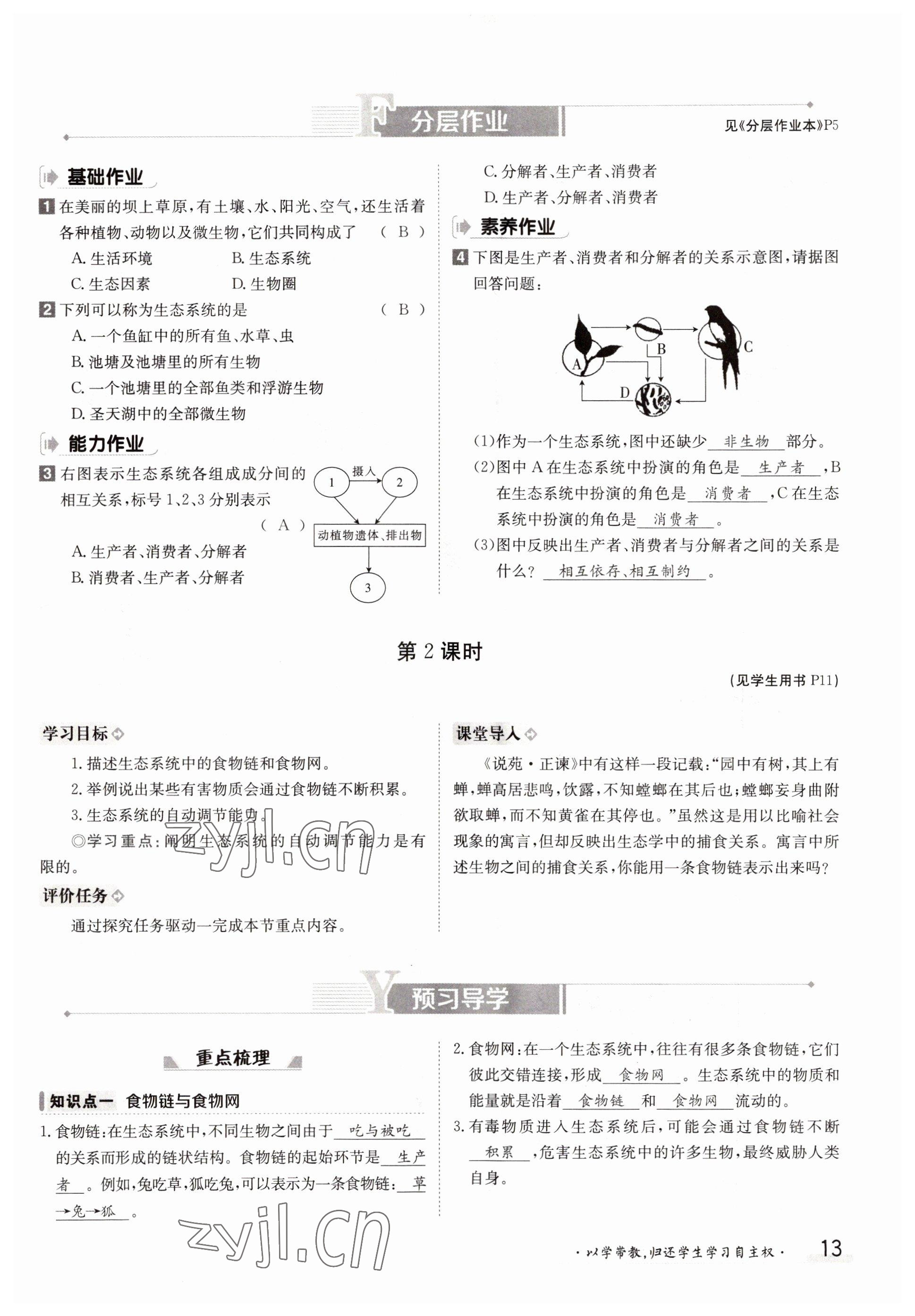 2022年金太陽導學案七年級生物上冊人教版 參考答案第13頁